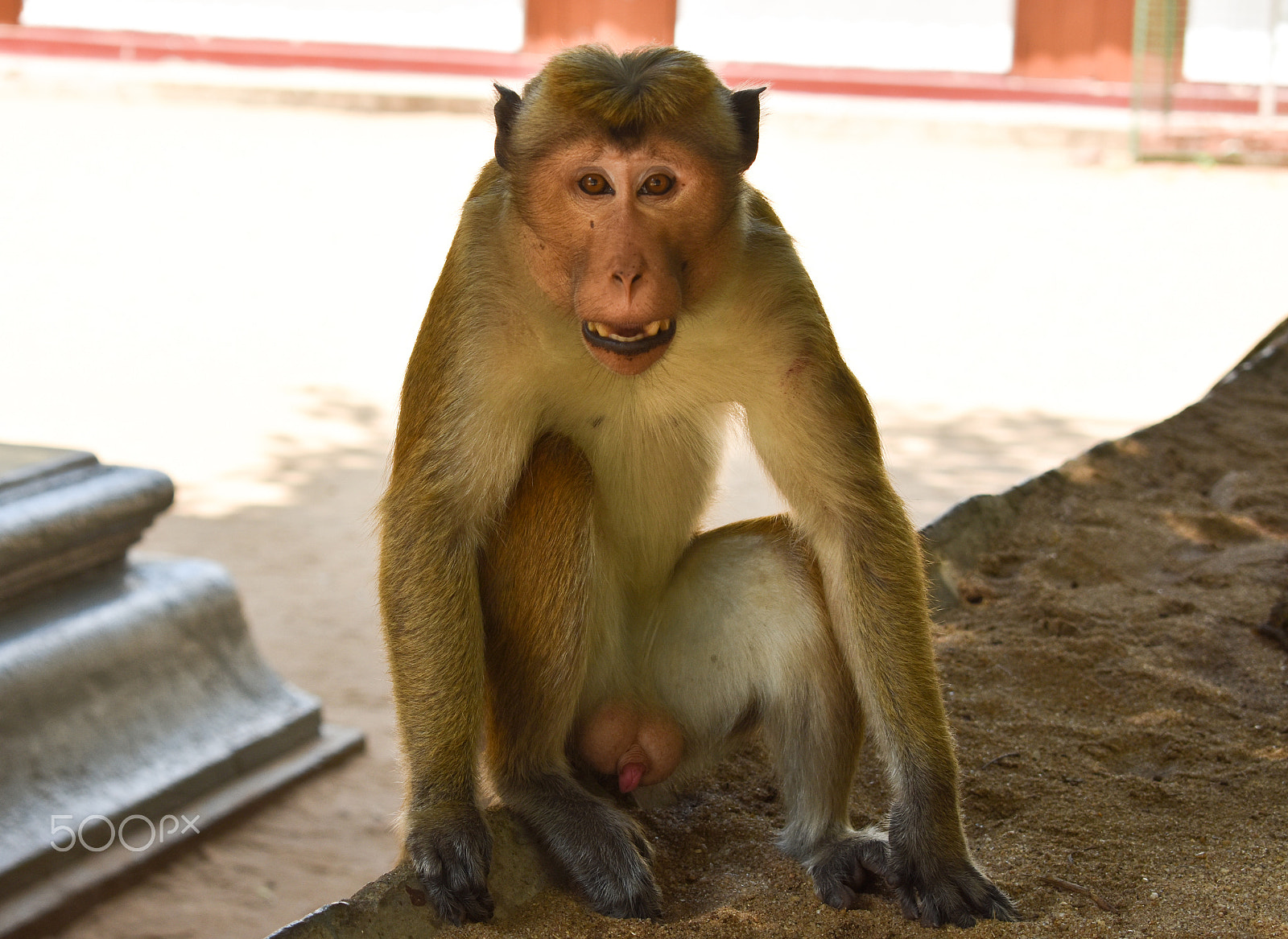 Nikon D3400 sample photo. Visitor photography