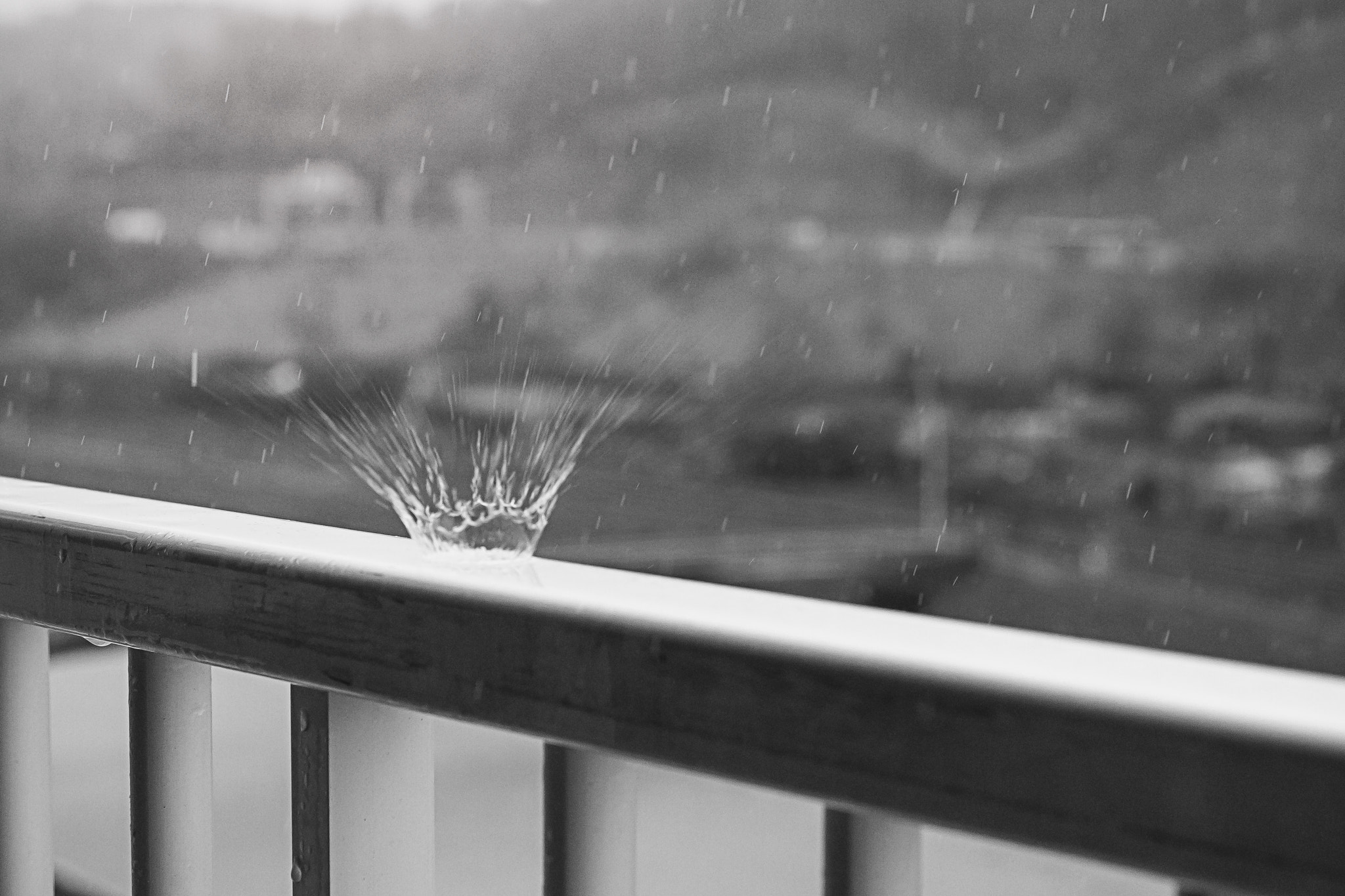 Canon EF 24-70mm F2.8L II USM sample photo. Lluvia photography