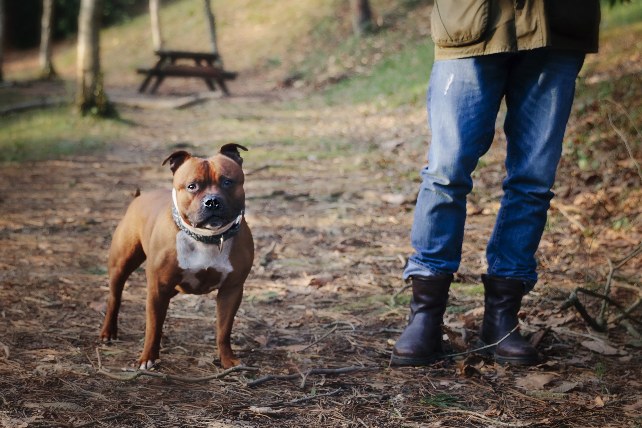 Canon EF 24-70mm F2.8L II USM sample photo. A+j photography