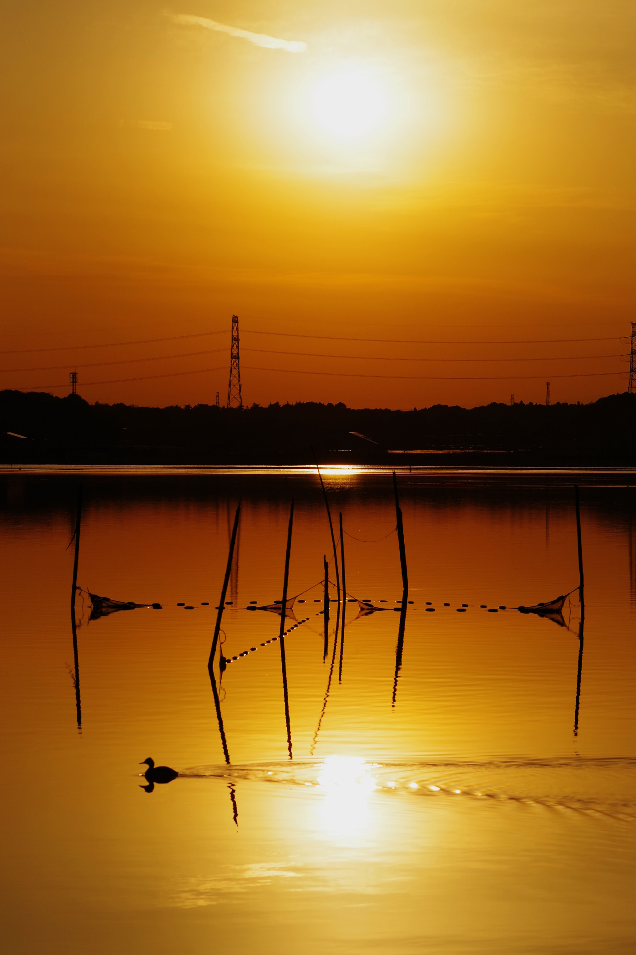 Pentax smc D-FA 100mm F2.8 Macro WR sample photo. 手賀沼 photography