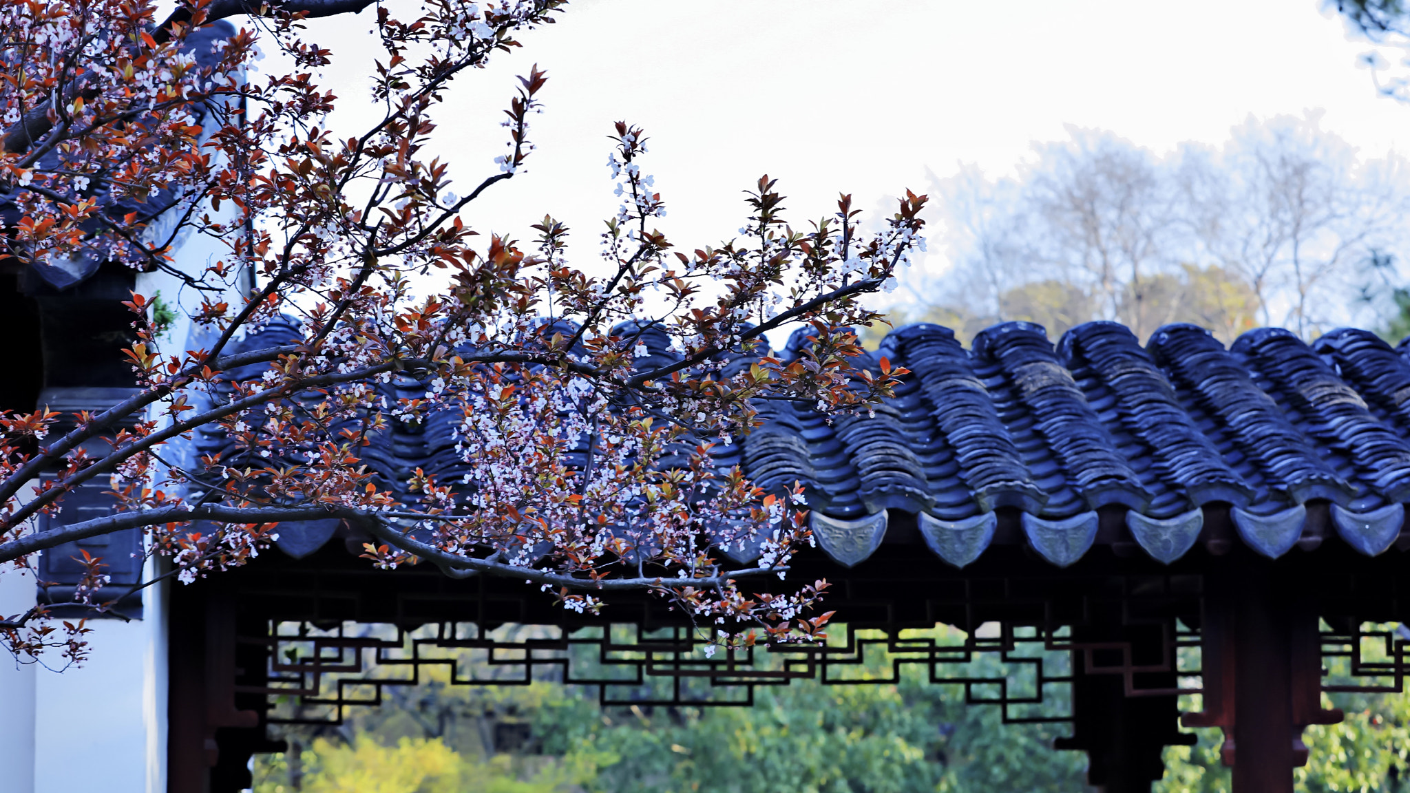 Canon EOS 5DS R sample photo