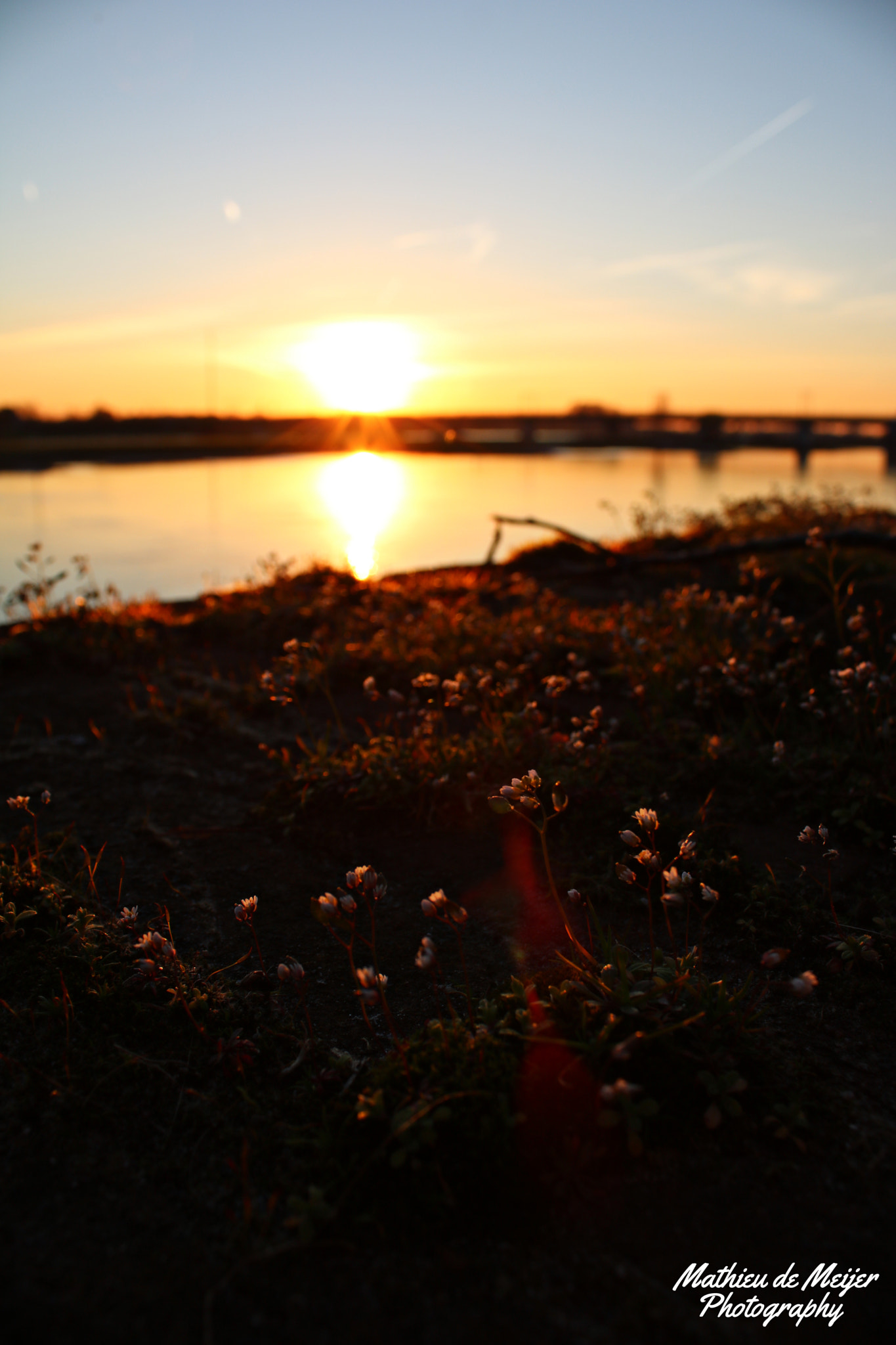 Canon EOS 750D (EOS Rebel T6i / EOS Kiss X8i) sample photo. Small and big photography