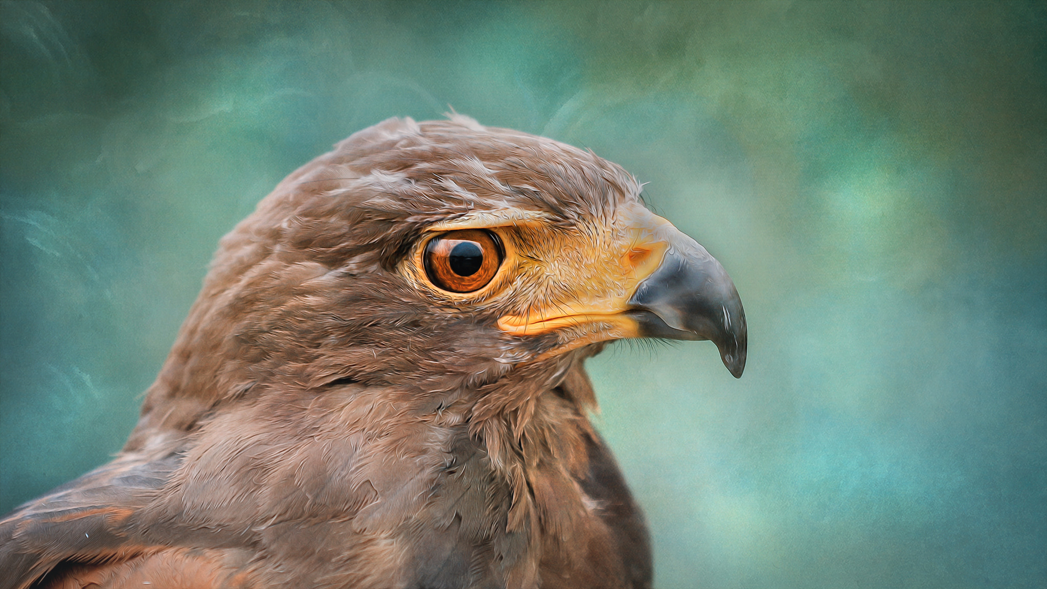 Sigma APO Macro 150mm f/2.8 EX DG HSM sample photo. Eagle photography