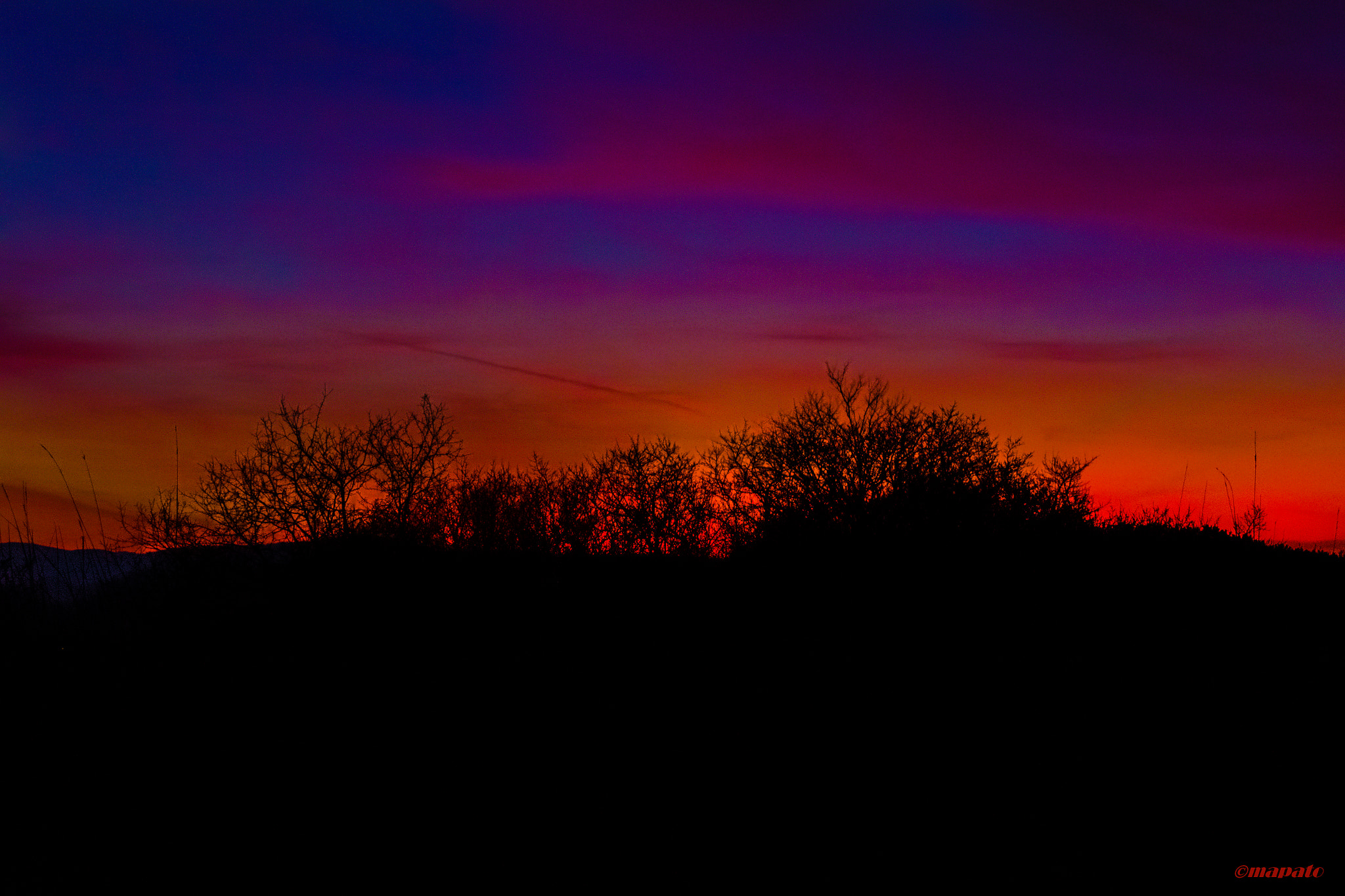 Nikon D7200 sample photo. Gebüsch in abendrot... photography