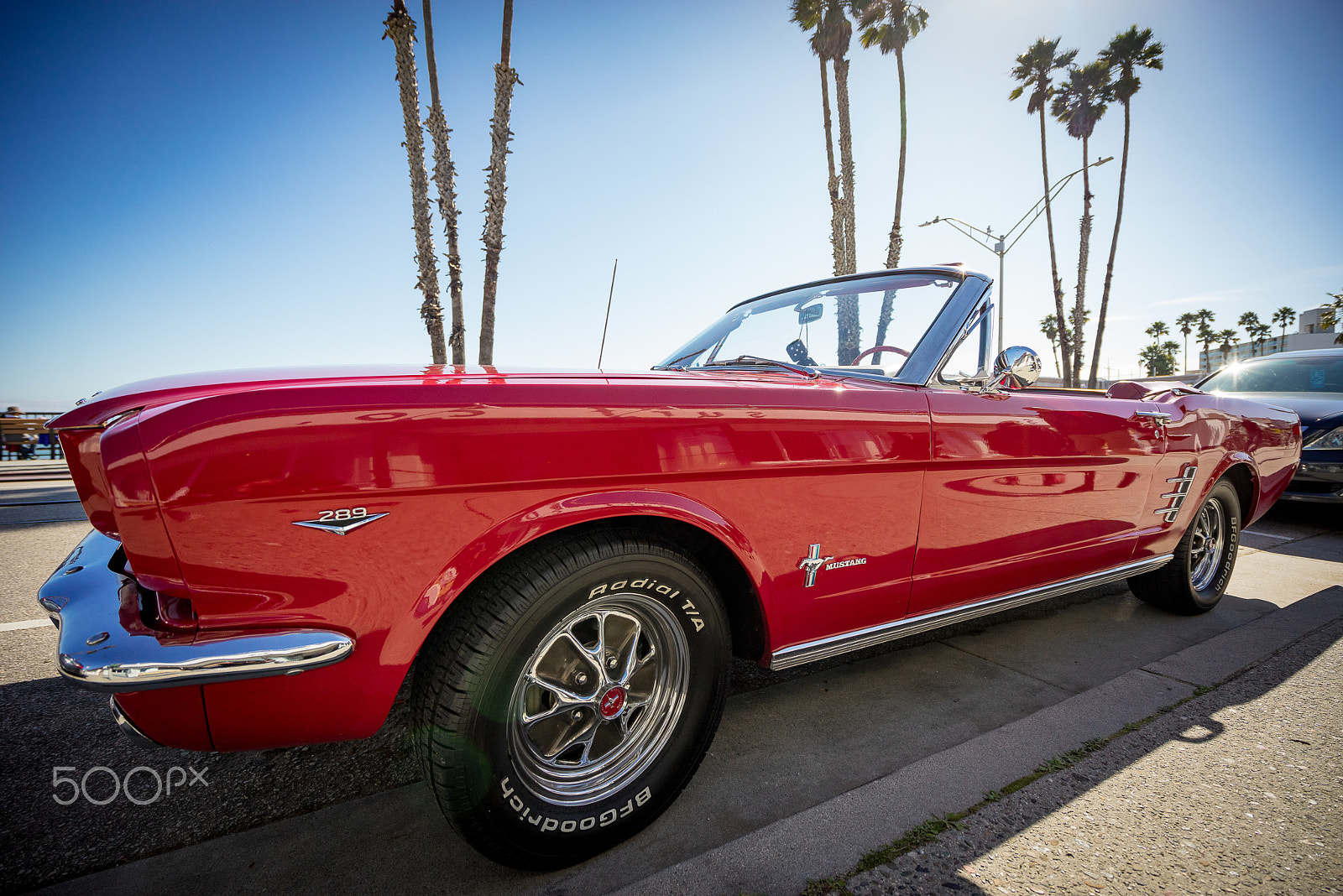 Sony a7R + Sony Vario-Tessar T* FE 16-35mm F4 ZA OSS sample photo. Musthave mustang photography