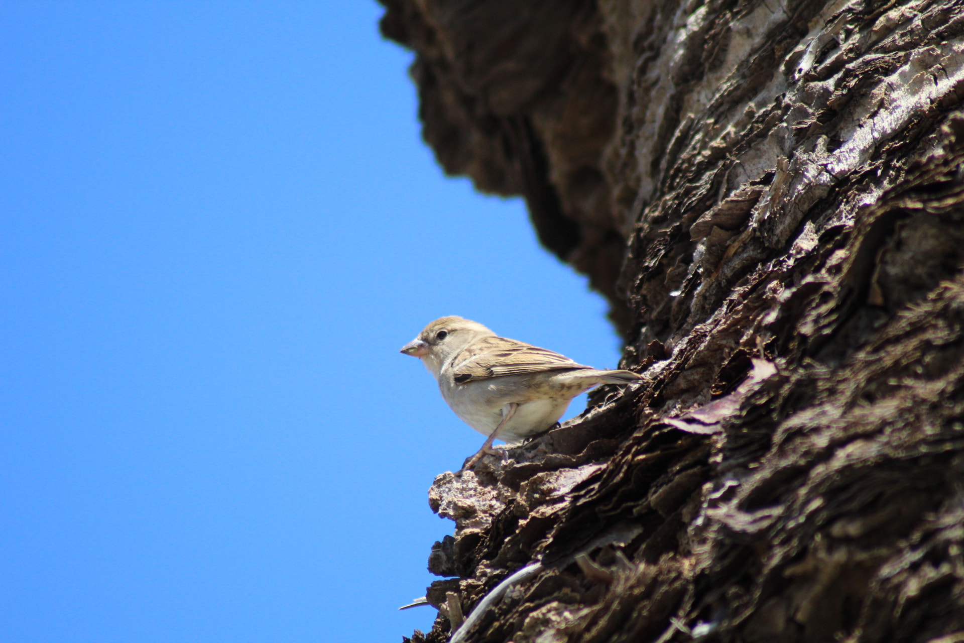 Canon EOS 1300D (EOS Rebel T6 / EOS Kiss X80) sample photo. This guy photography