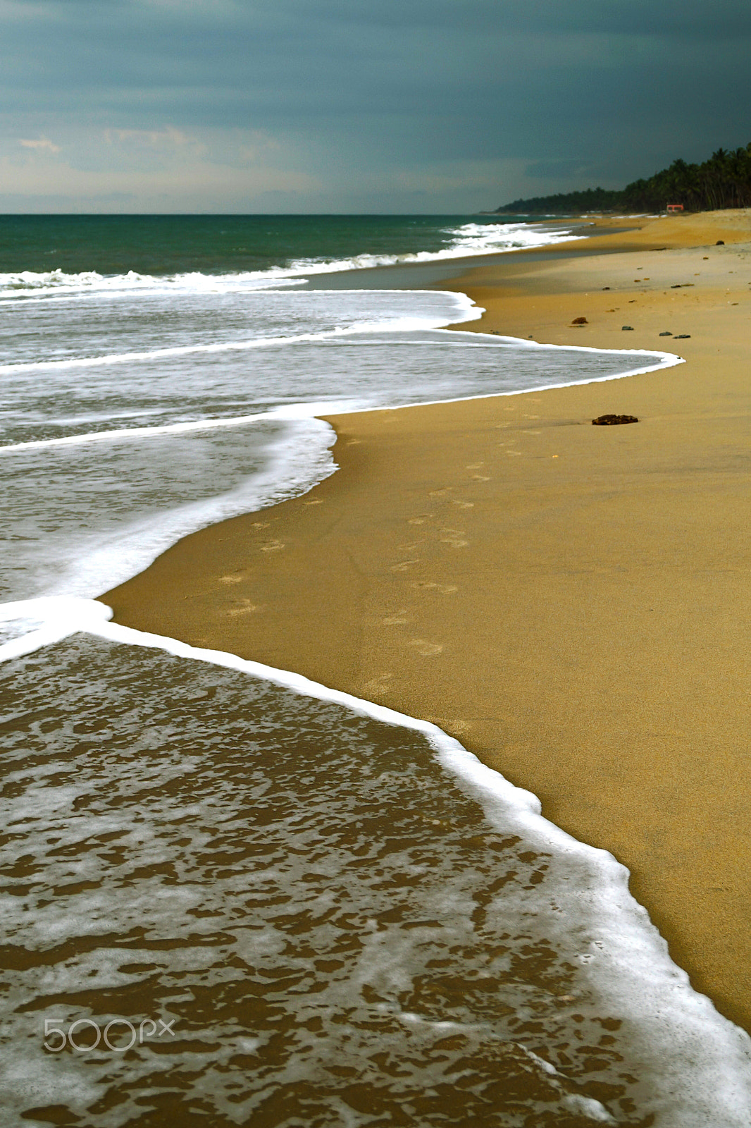 Sony DT 18-55mm F3.5-5.6 SAM II sample photo. Walking on the sand photography
