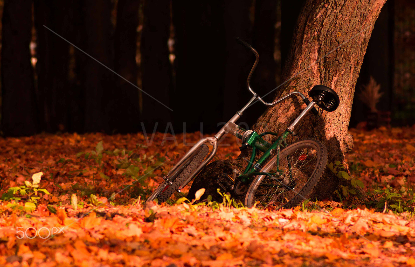 Canon EOS 600D (Rebel EOS T3i / EOS Kiss X5) + Tamron AF 70-300mm F4-5.6 Di LD Macro sample photo. Autumn nature photography