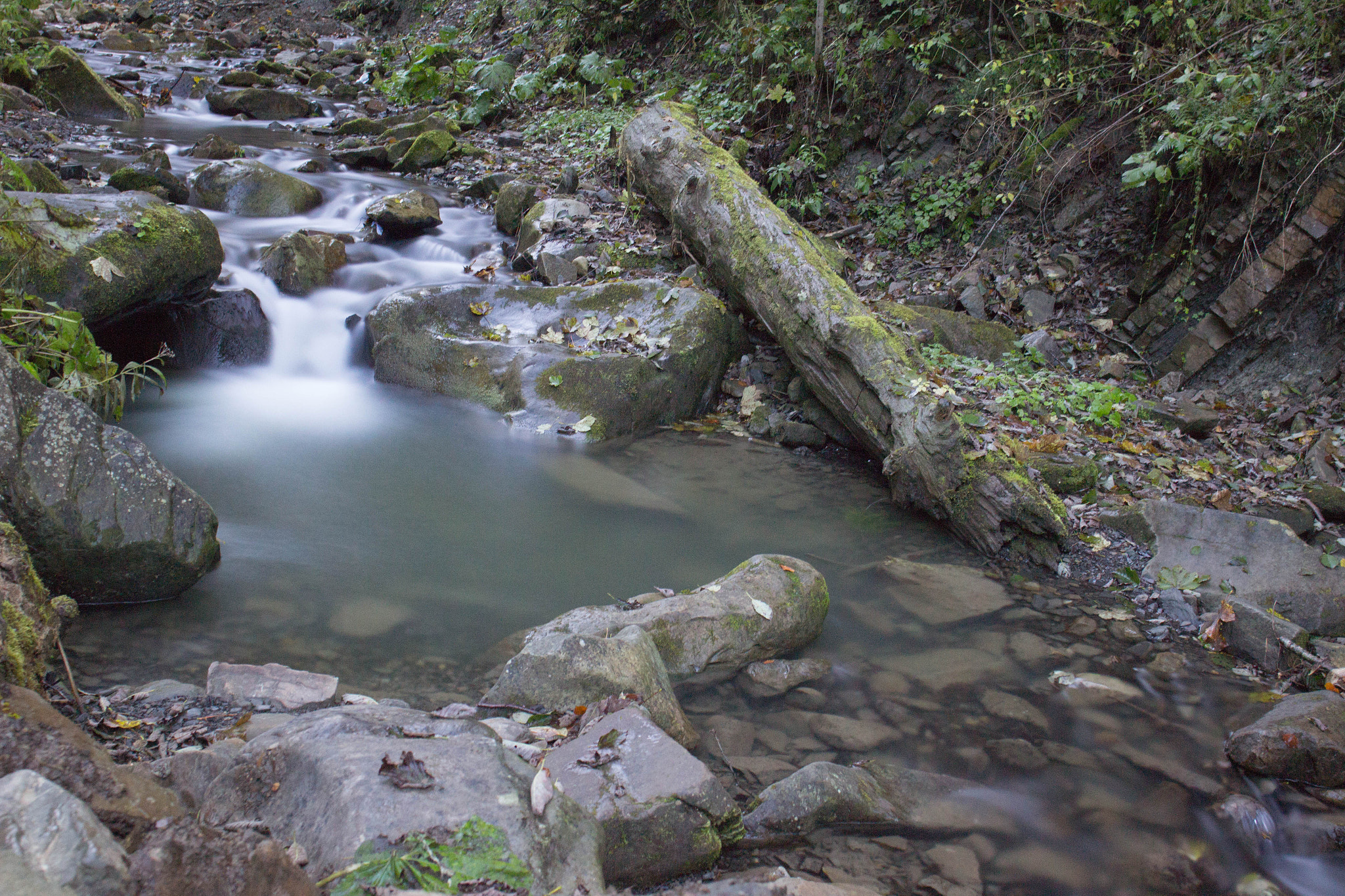 Canon EF 24mm F2.8 IS USM sample photo. River photography
