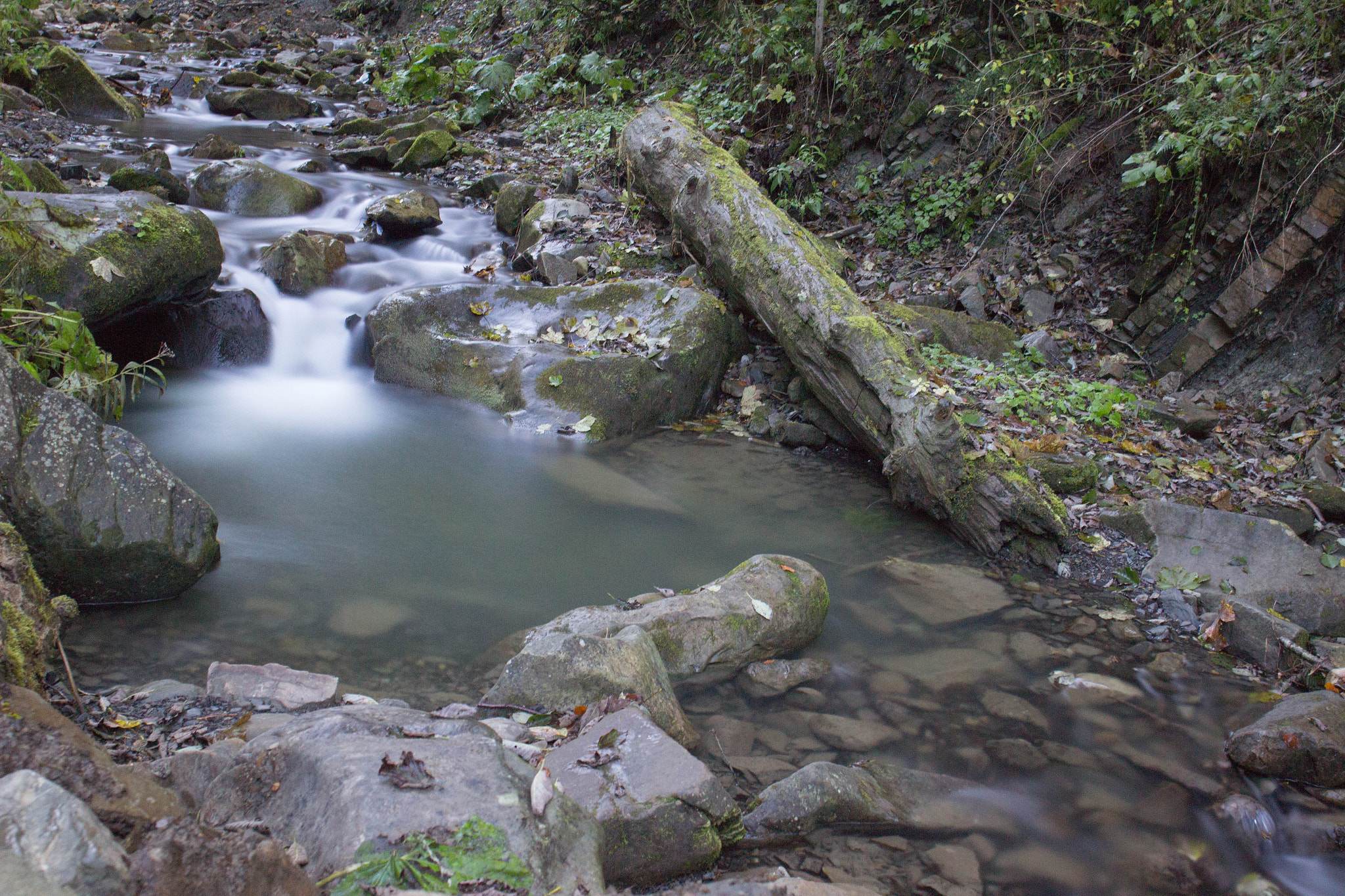 Canon EOS 600D (Rebel EOS T3i / EOS Kiss X5) + Canon EF 24mm F2.8 IS USM sample photo. River photography