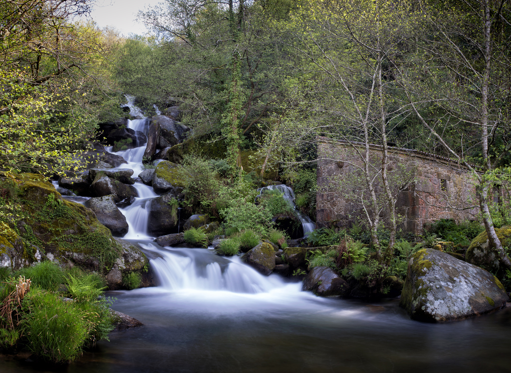 Nikon AF-S Nikkor 28-70mm F2.8 ED-IF sample photo. Muiñada de barosa photography