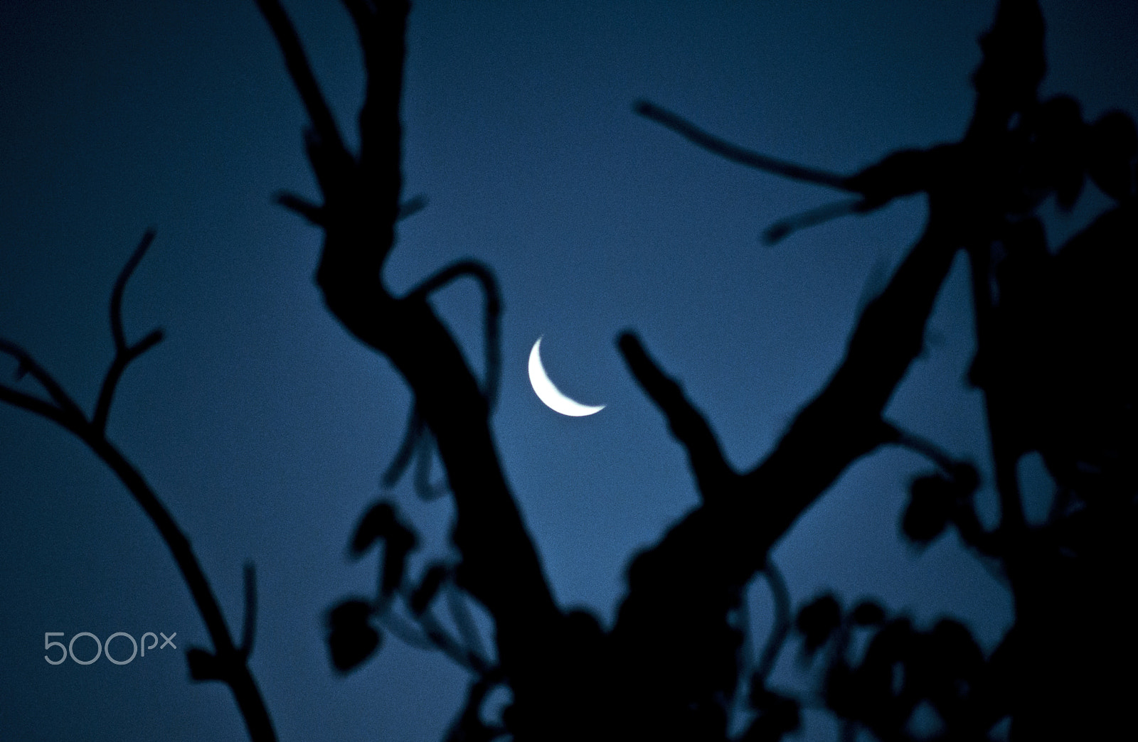 Nikon D90 sample photo. Waning crescent photography