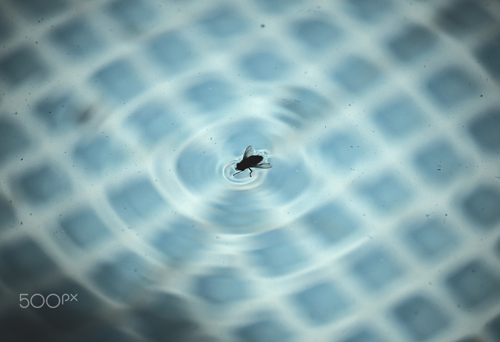 Nikon D90 sample photo. Makin' waves! photography