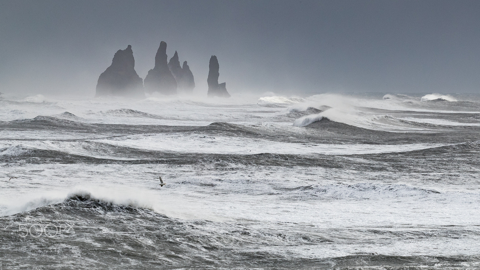 Canon EOS-1D X Mark II sample photo. Reynisdrangar photography
