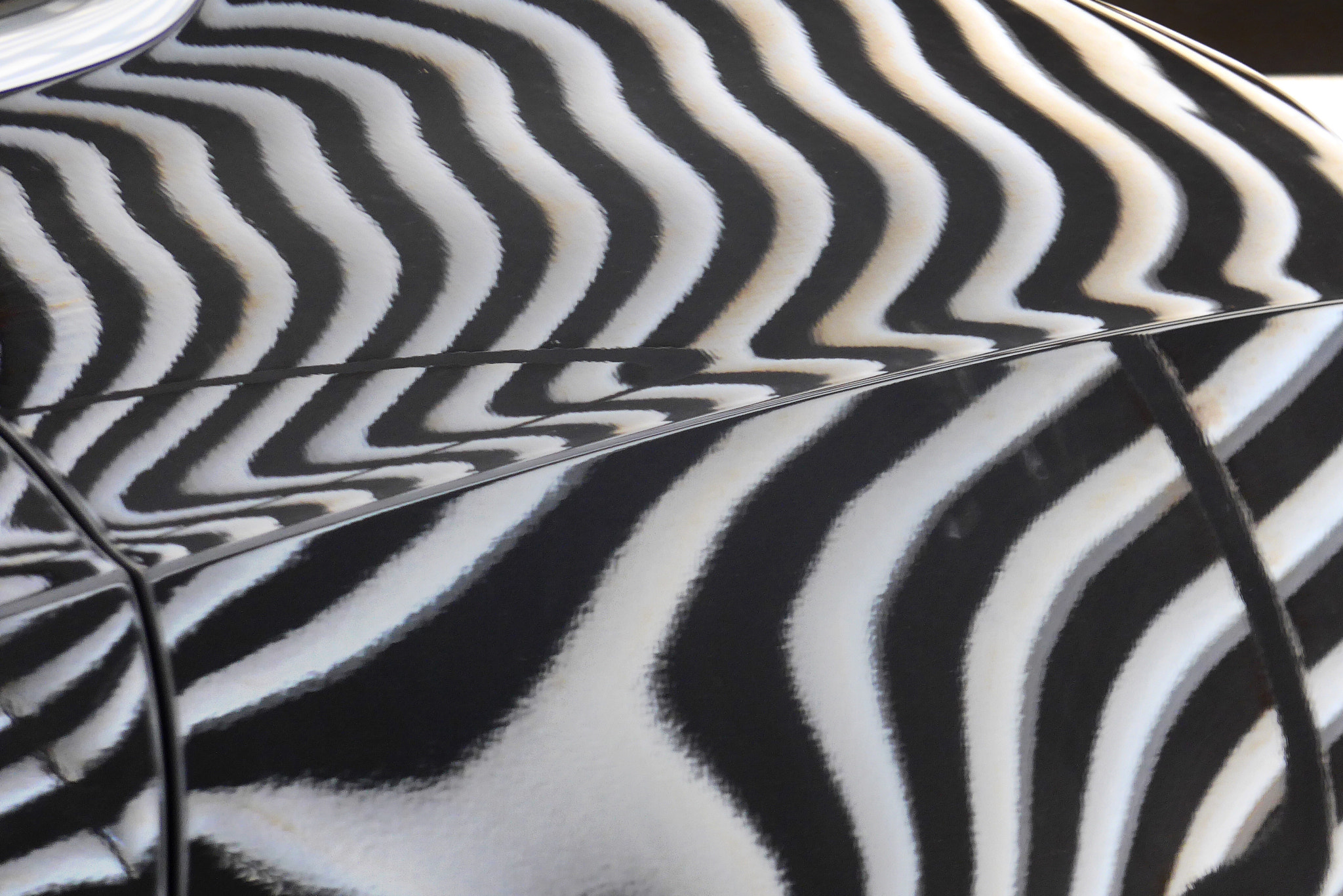 Panasonic Lumix DMC-LF1 sample photo. Zebra-shaped shutter reflection photography