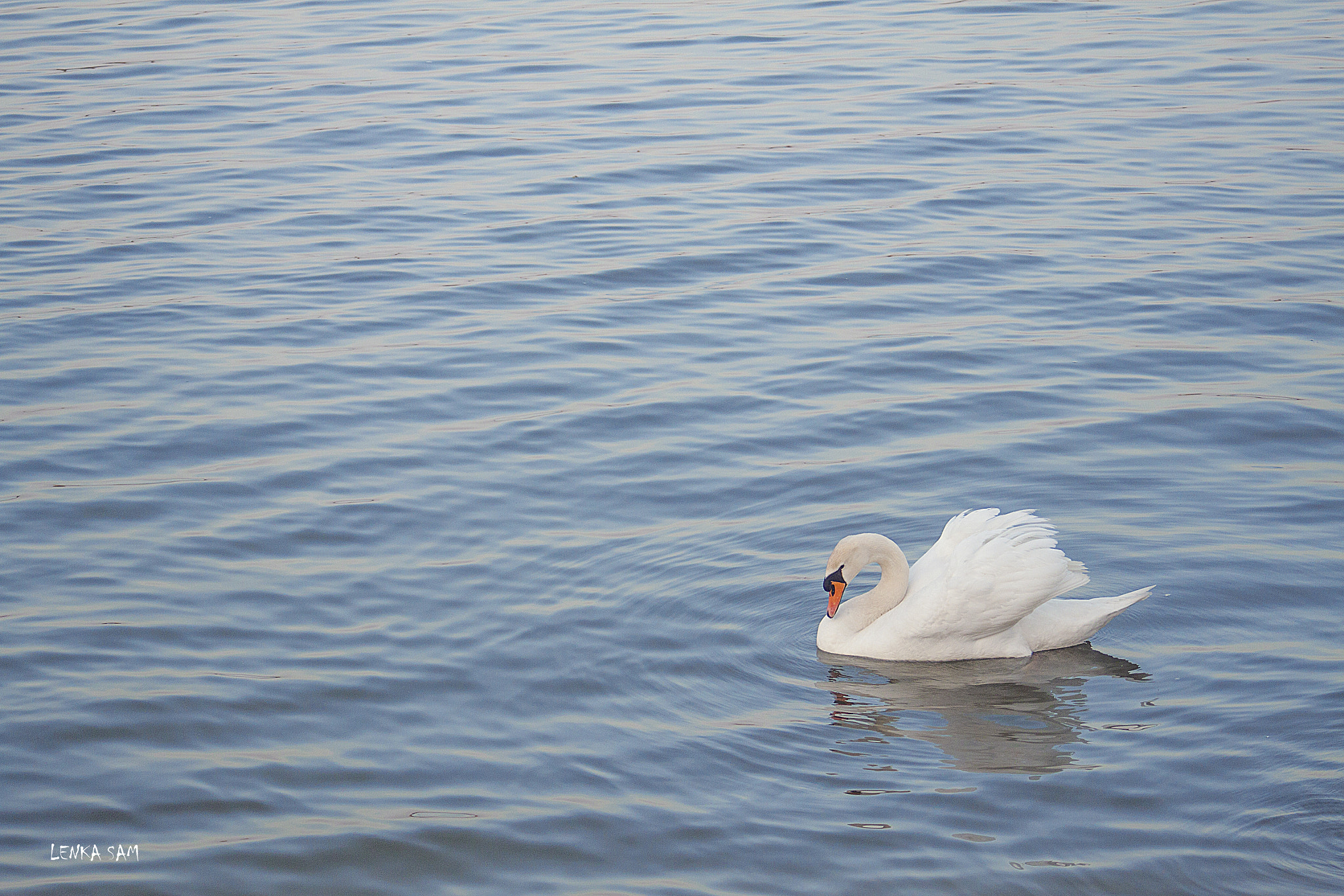 Canon EF 28-70mm f/3.5-4.5 sample photo. Fairy tale photography