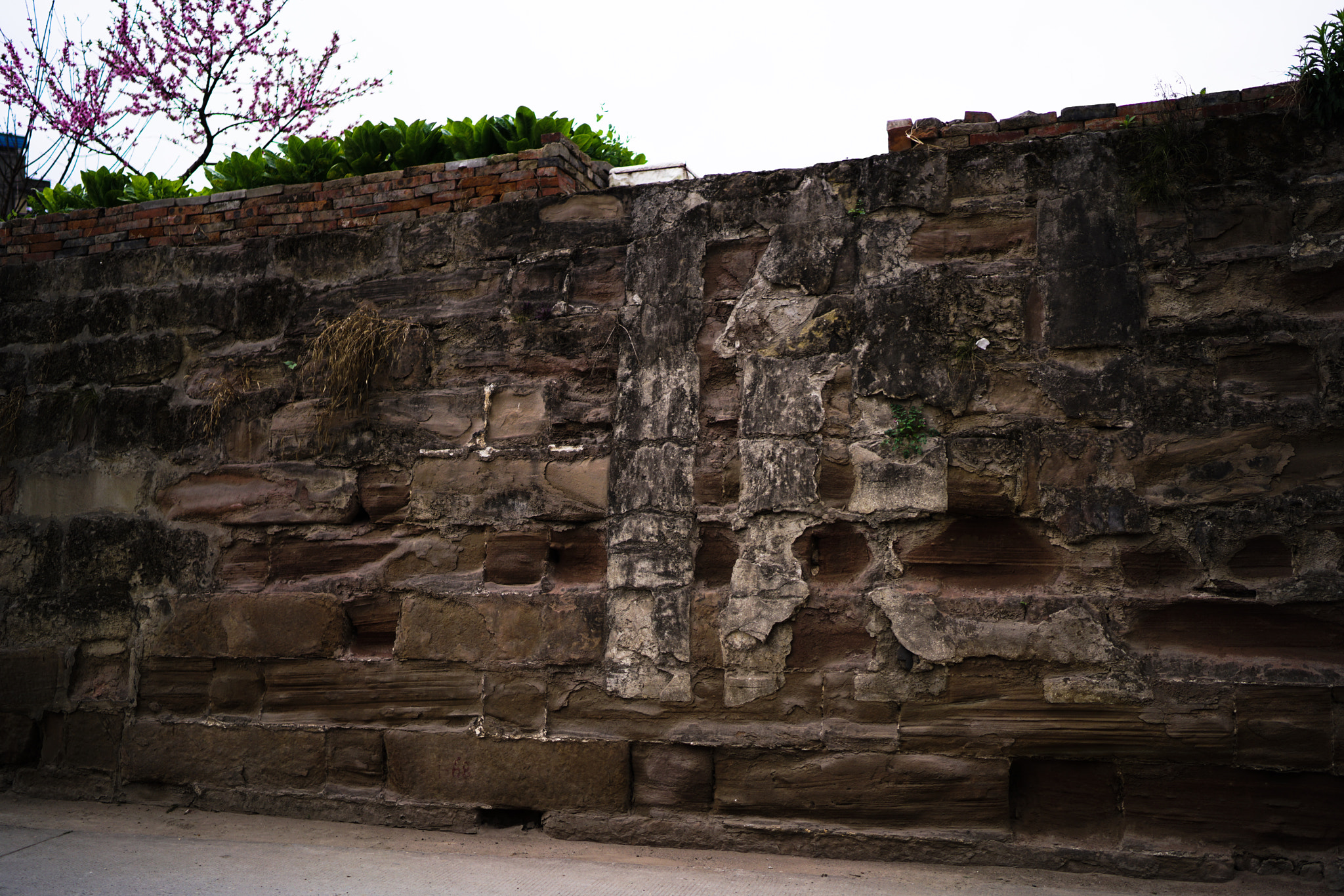 Sony a7R II + Sony Distagon T* FE 35mm F1.4 ZA sample photo. The old wall 01 photography