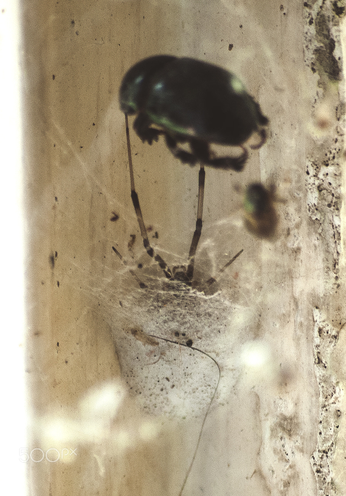 Nikon D90 sample photo. Lunch at the door... photography
