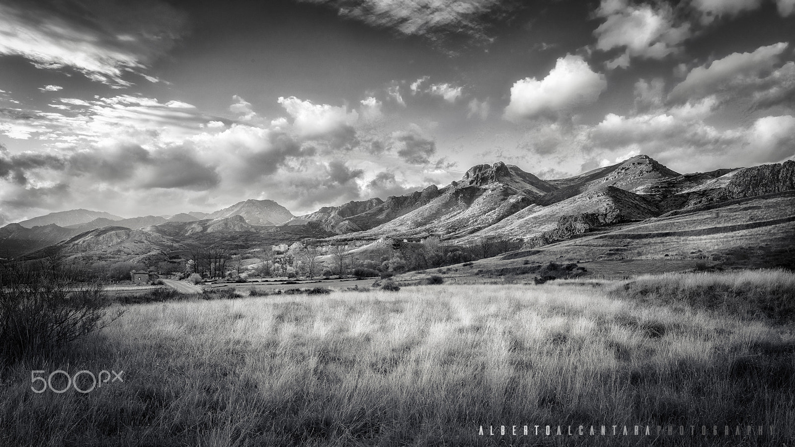 Canon EF 24-70mm F2.8L II USM sample photo. Babia photography