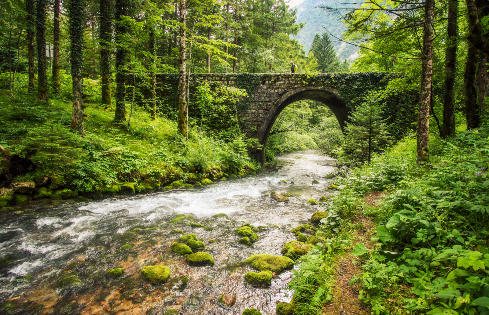 Canon EOS 50D + Canon EF-S 10-18mm F4.5–5.6 IS STM sample photo. Water under the bridge.. photography