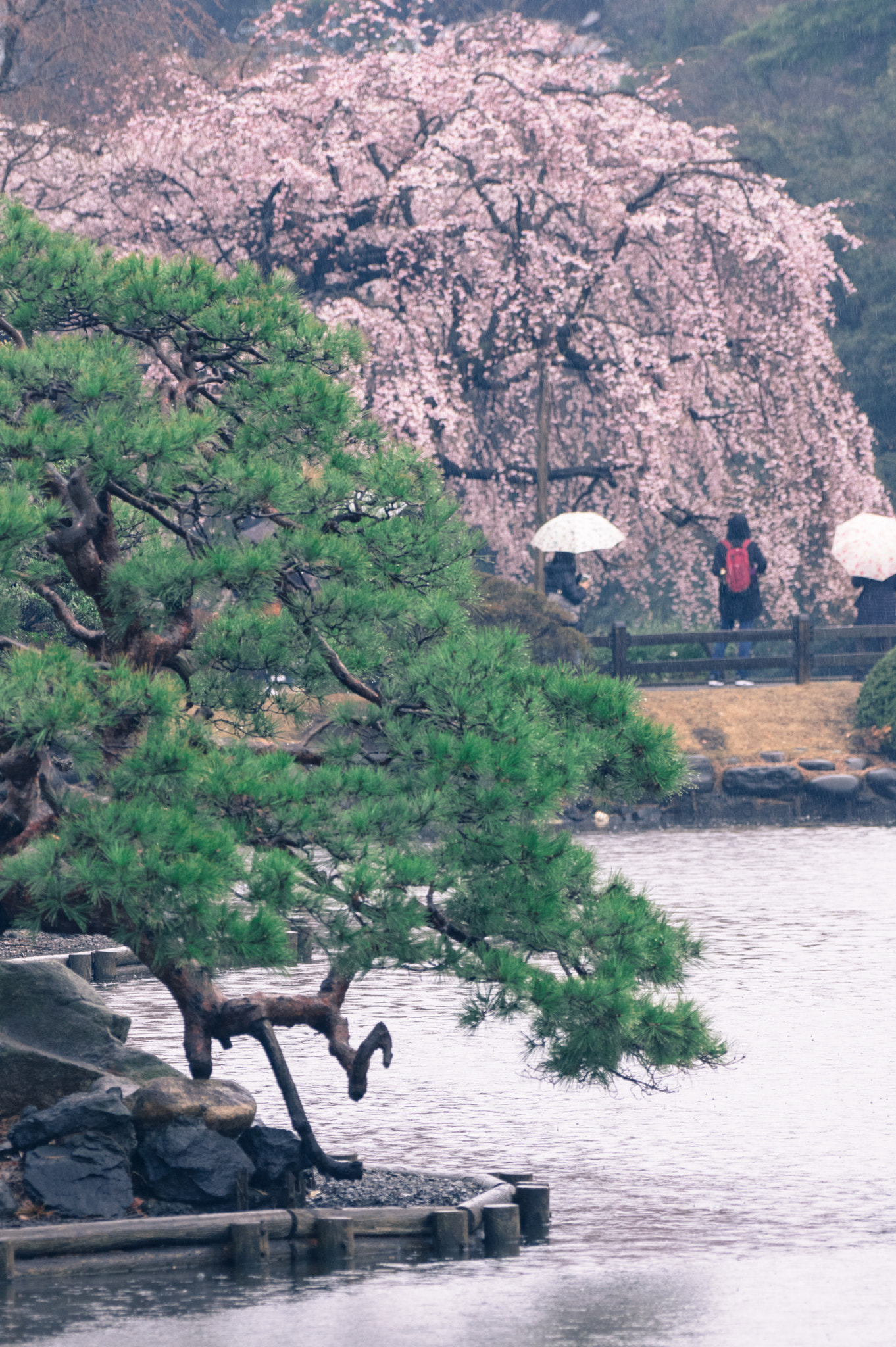 Pentax K-3 sample photo. 40 photography