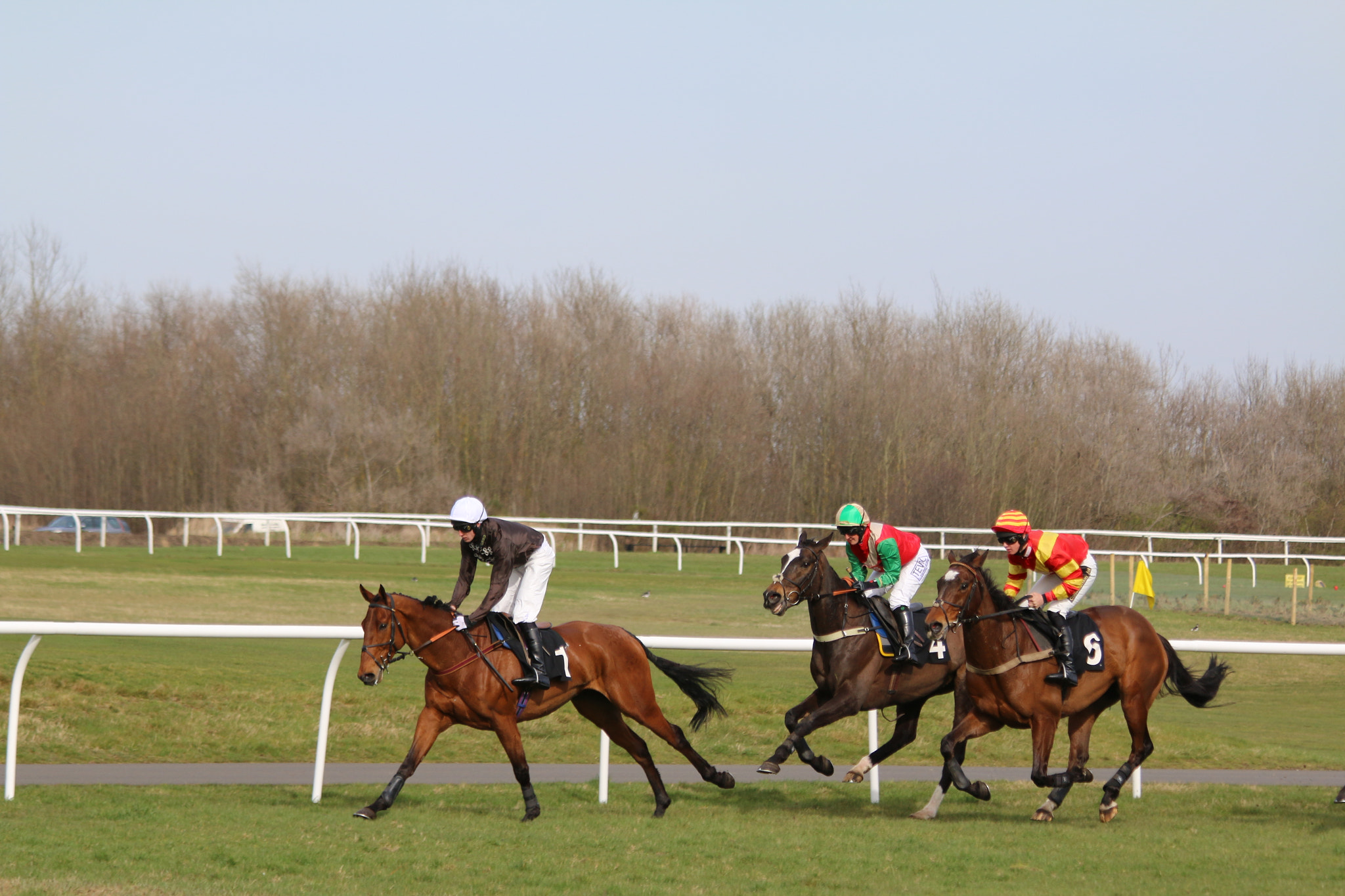 Canon EF 70-300mm F4-5.6 IS USM sample photo. Img photography