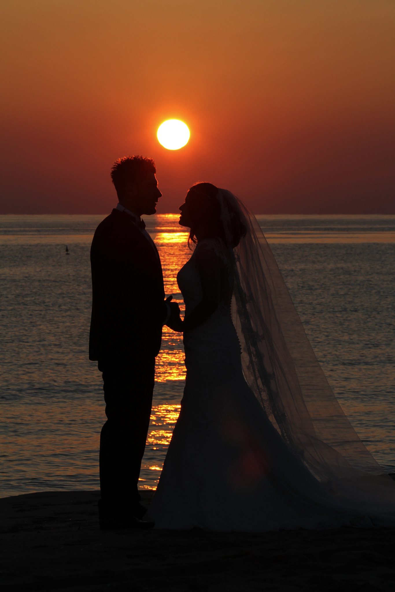 Canon EOS 7D + Canon EF 70-200mm F4L IS USM sample photo. Ror photography photography