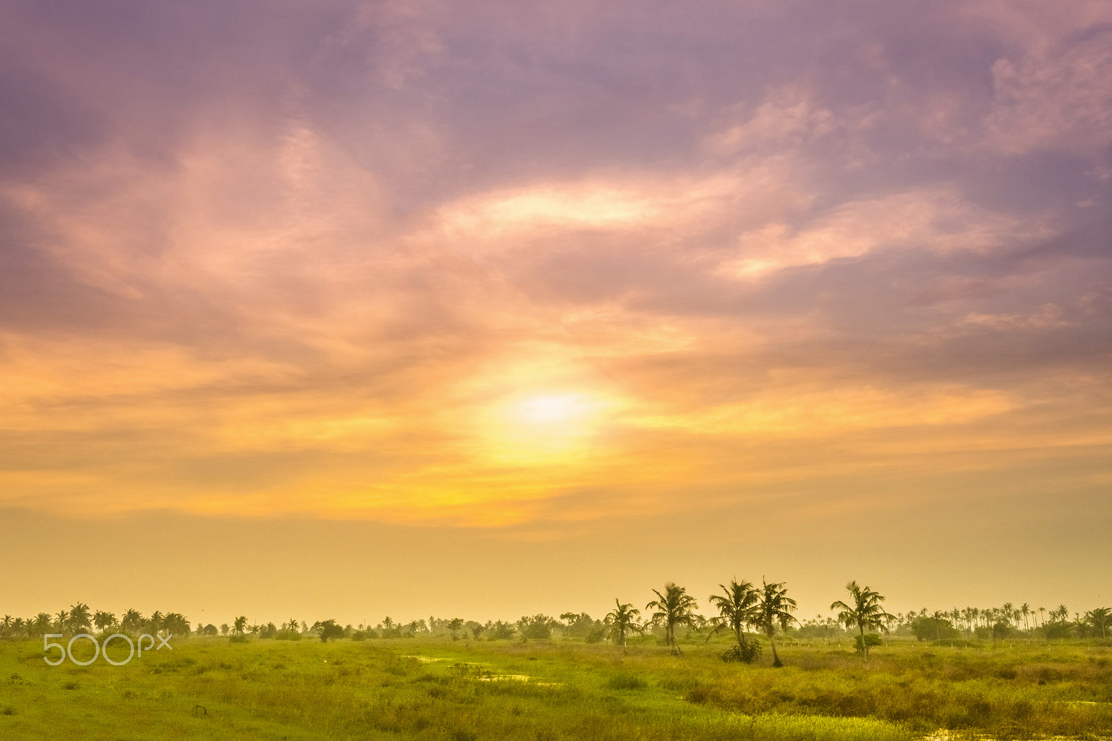 Nikon D7200 sample photo. Sunset in clouds photography