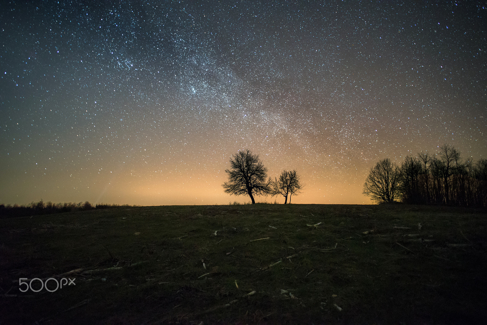 Nikon D610 + Nikon AF-S Nikkor 20mm F1.8G ED sample photo. Under the stars photography