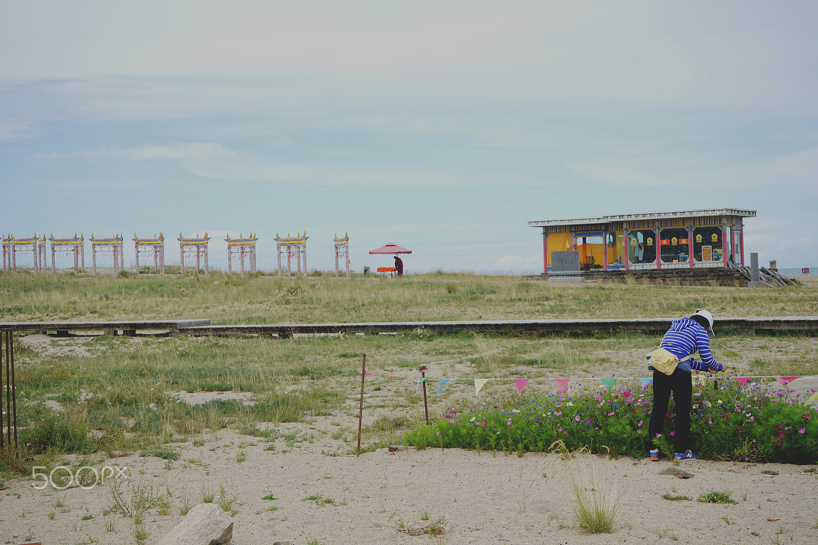 Sony a7 sample photo. Qinghai lake, china photography