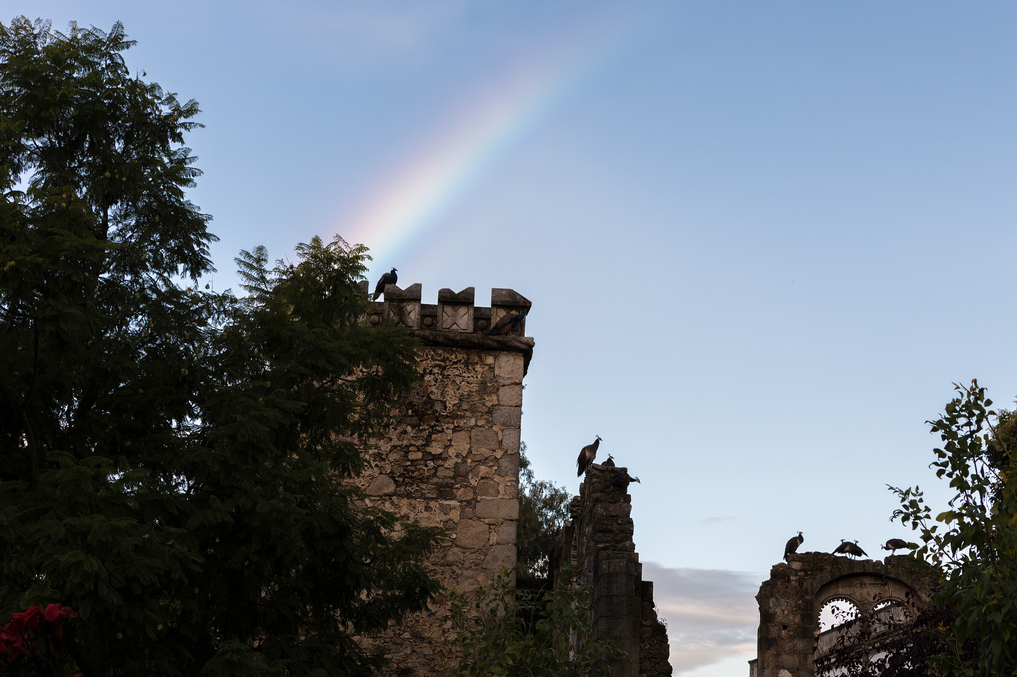 Canon EOS 6D sample photo. Rainbow in evora  201015-2546 photography