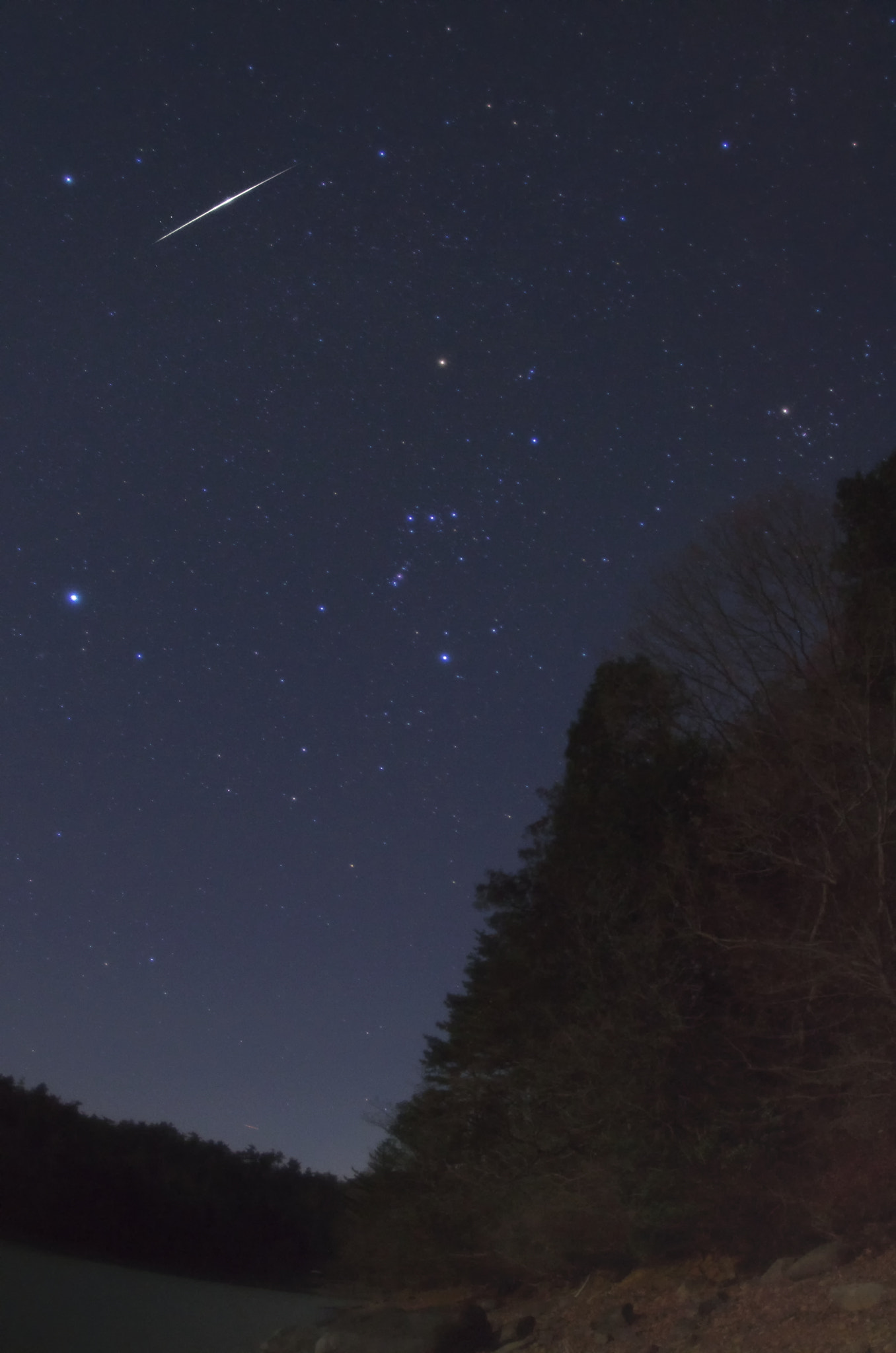 Pentax K-5 IIs sample photo. Orion and shooting star photography
