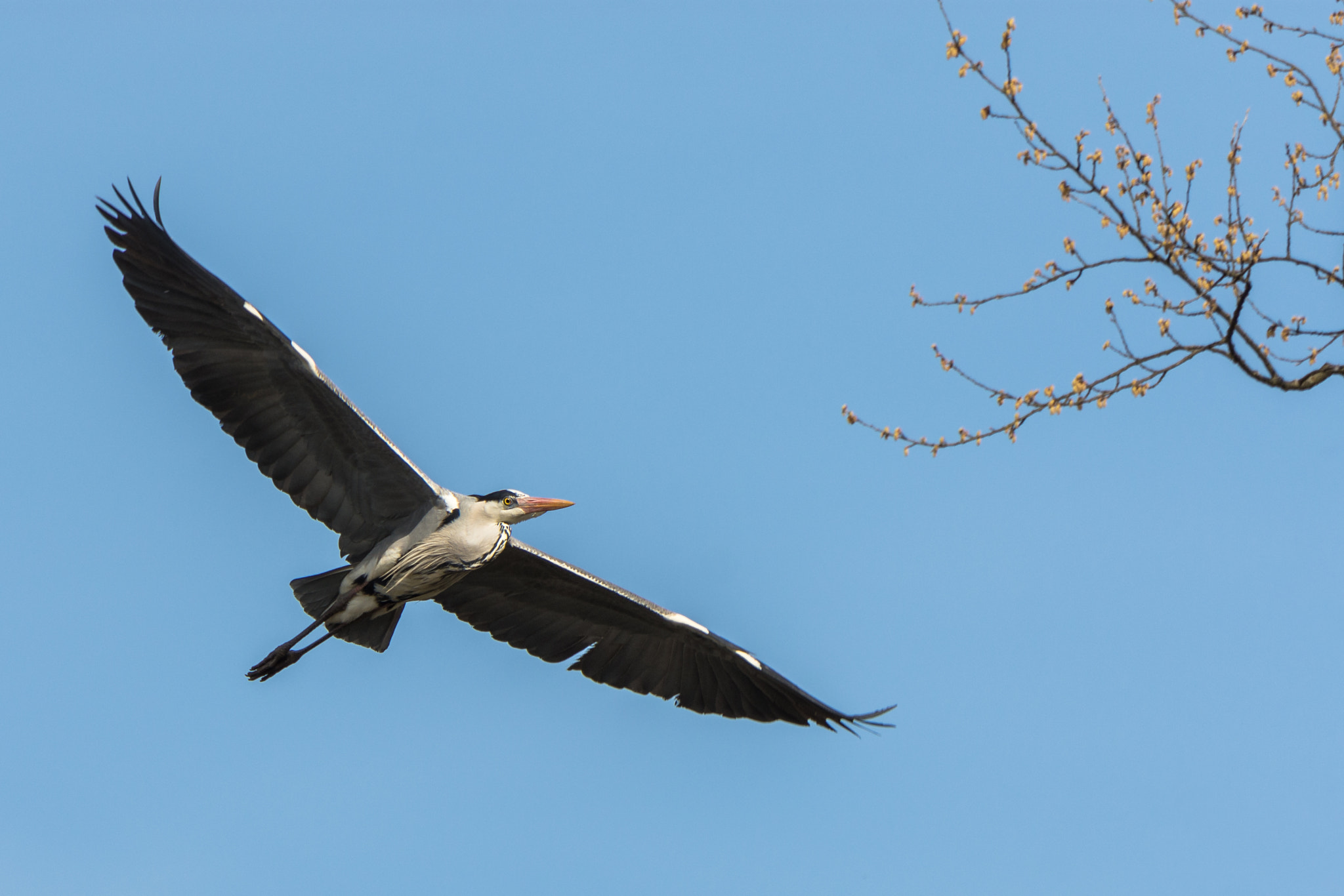 Nikon D7200 sample photo. Heading home photography
