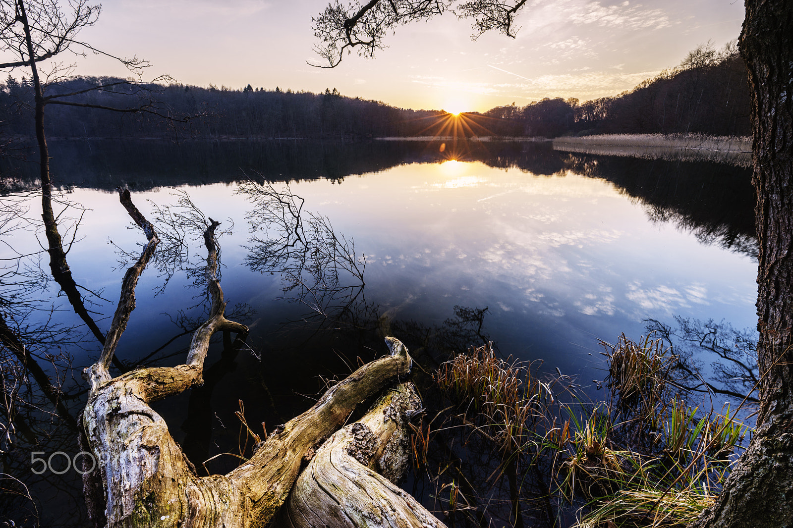 Sony a7 II + Sony DT 50mm F1.8 SAM sample photo. Reflections photography
