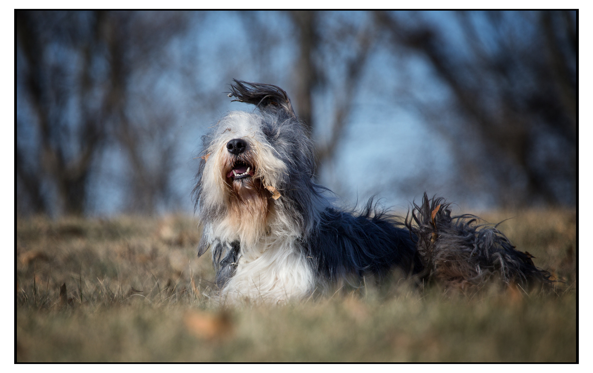 Canon EF 100-400mm F4.5-5.6L IS USM sample photo. Mg photography