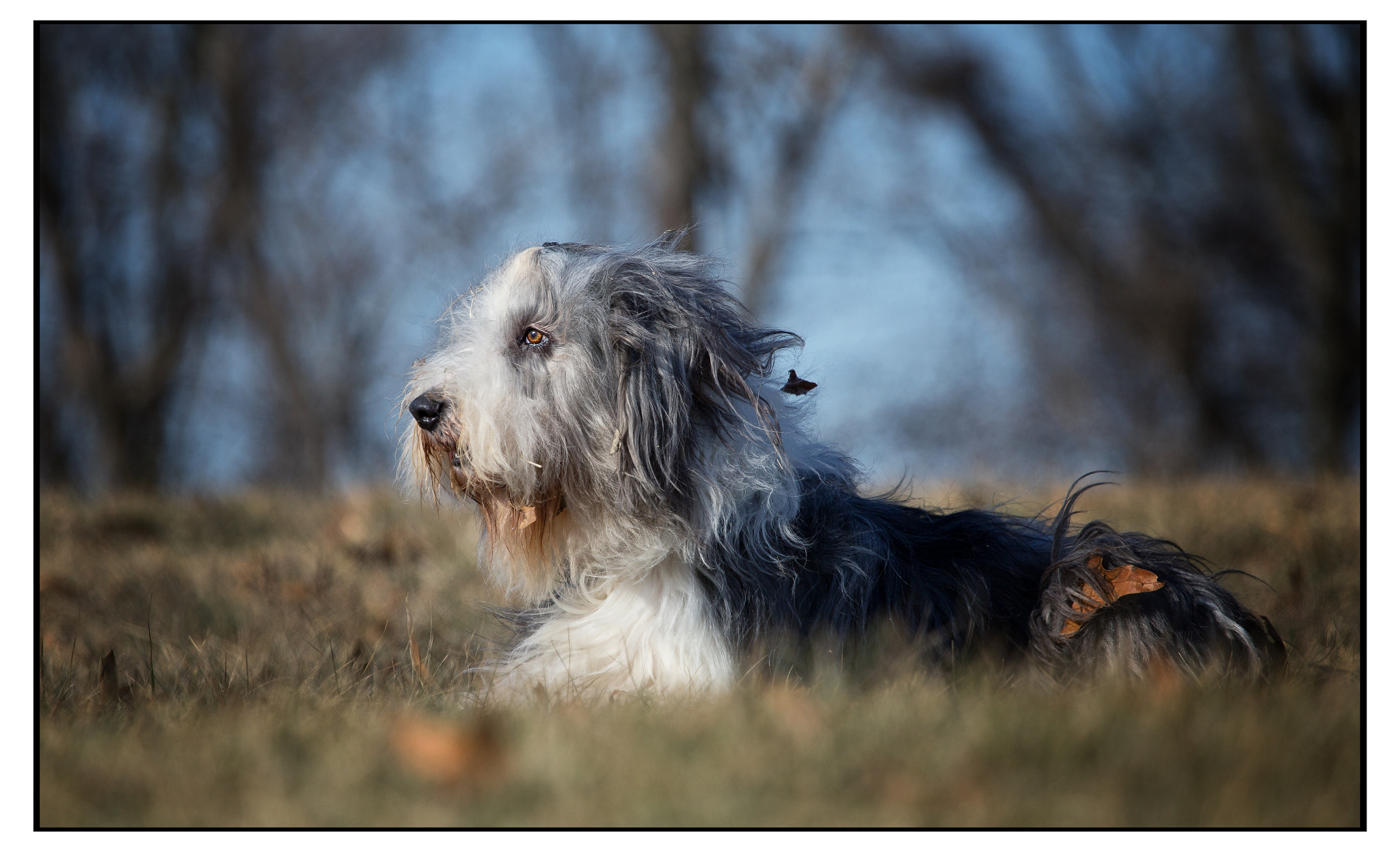 Canon EF 100-400mm F4.5-5.6L IS USM sample photo. Mg photography