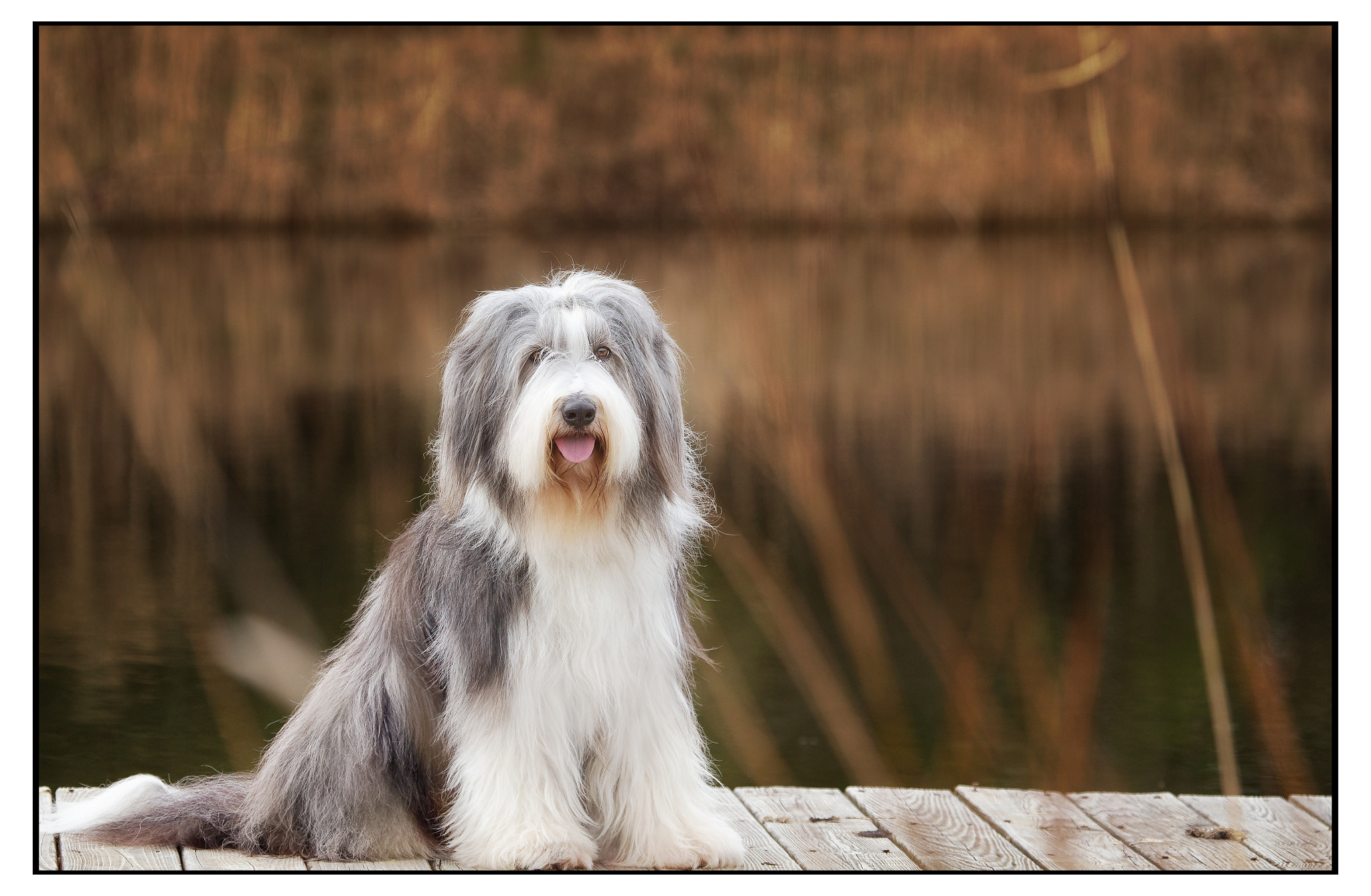 Canon EF 100-400mm F4.5-5.6L IS USM sample photo. 44444444444.jpg photography