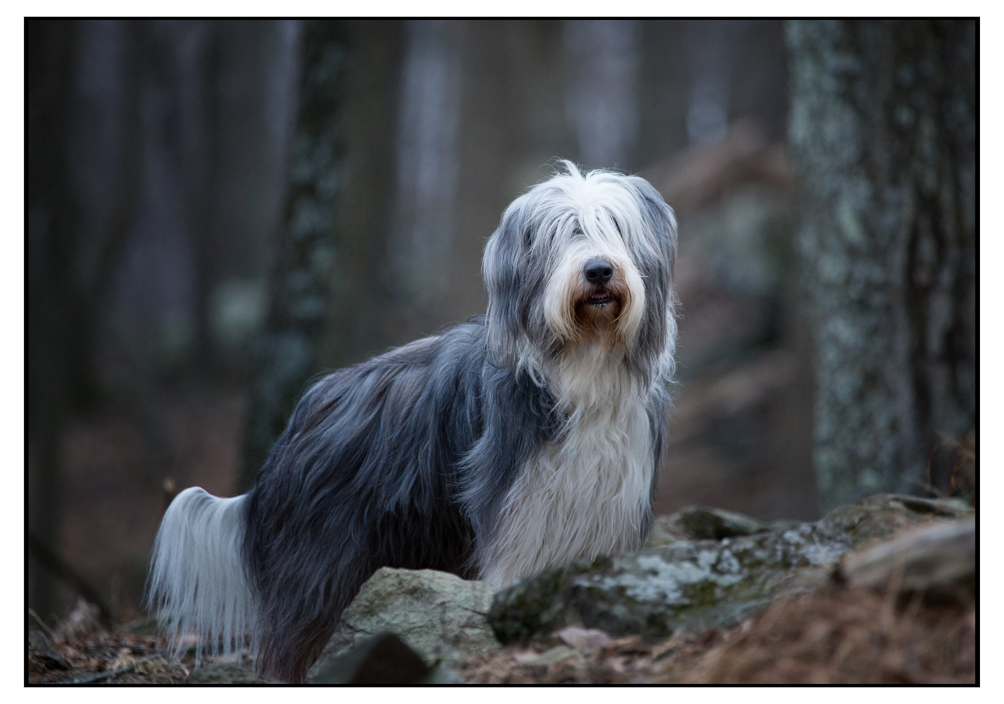 Canon EF 100-400mm F4.5-5.6L IS USM sample photo. Img photography