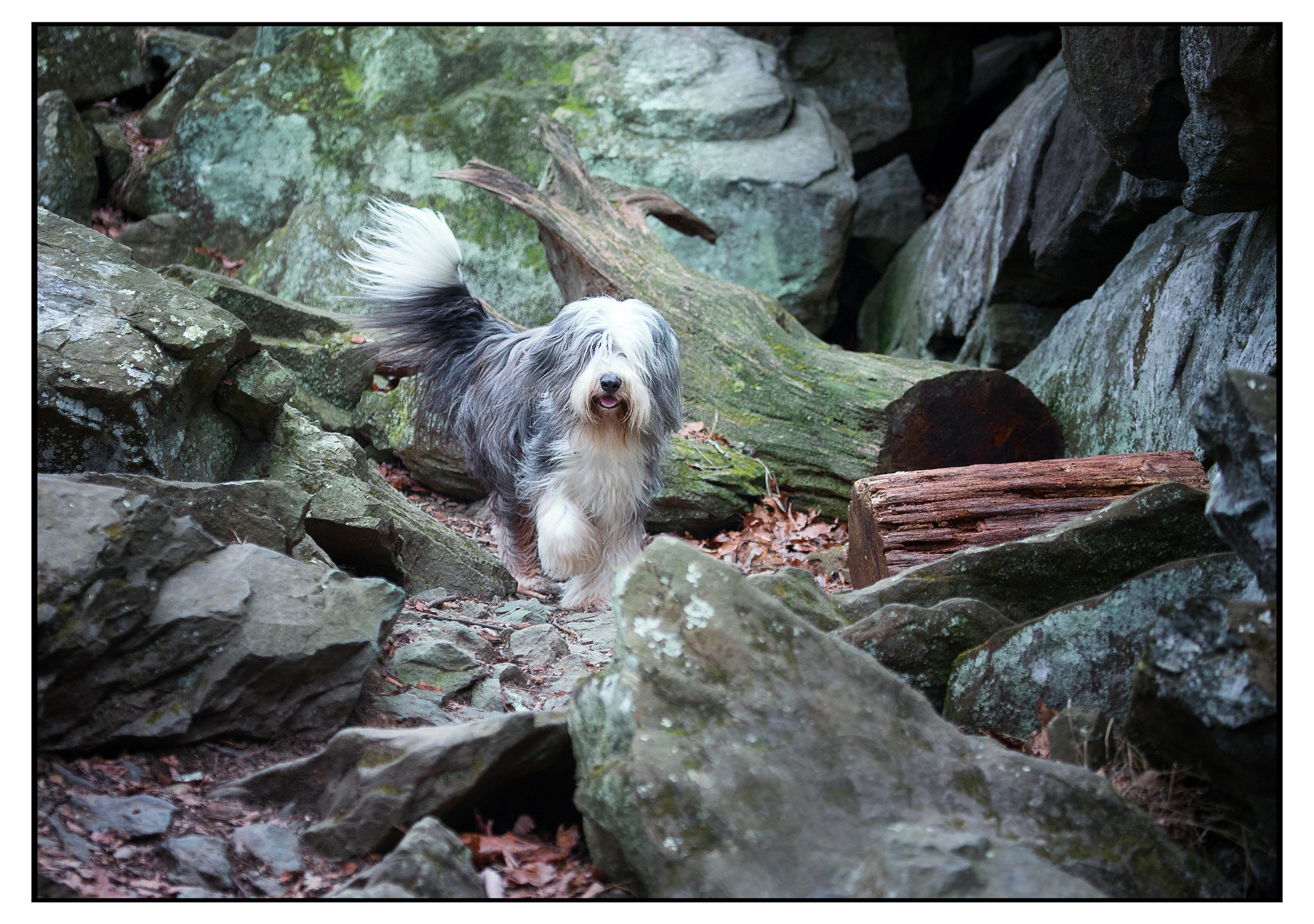 Canon EF 100-400mm F4.5-5.6L IS USM sample photo. Img photography