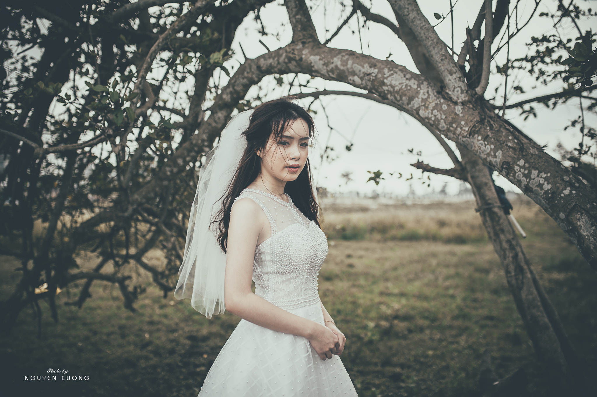 Sigma 35mm F1.4 DG HSM Art sample photo. Img photography
