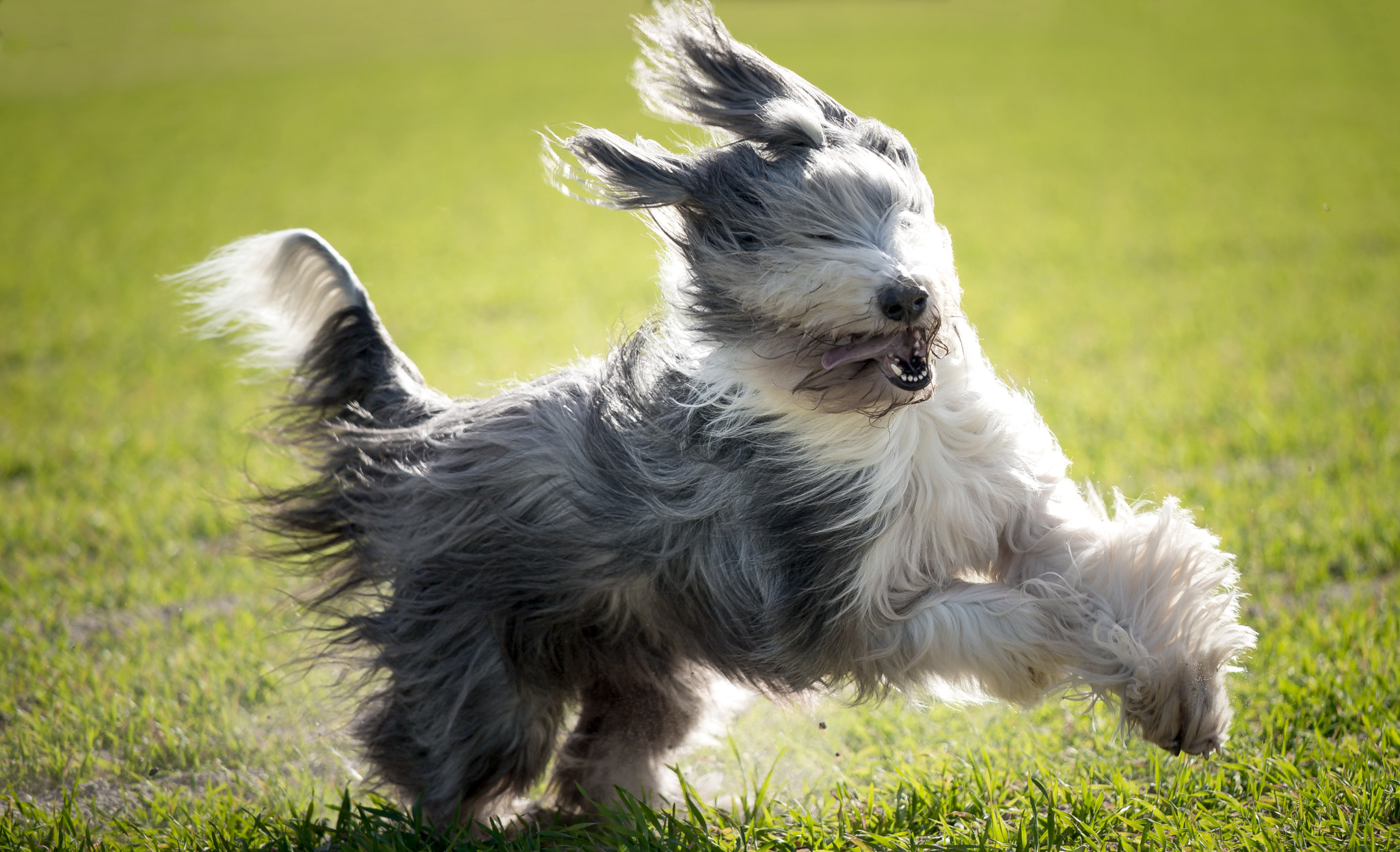Canon EOS 6D + Canon EF 70-200mm F4L IS USM sample photo. Img photography