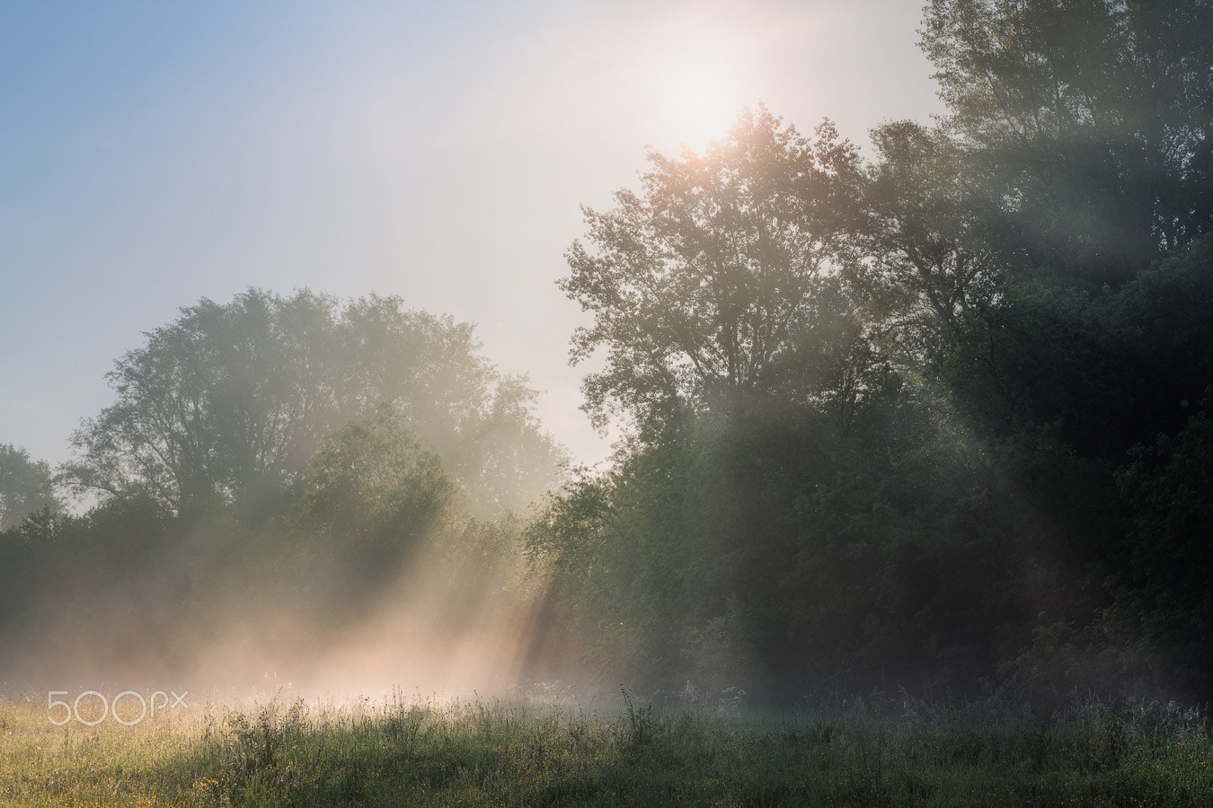 Canon EF-S 17-55mm F2.8 IS USM sample photo. Morning coolness photography