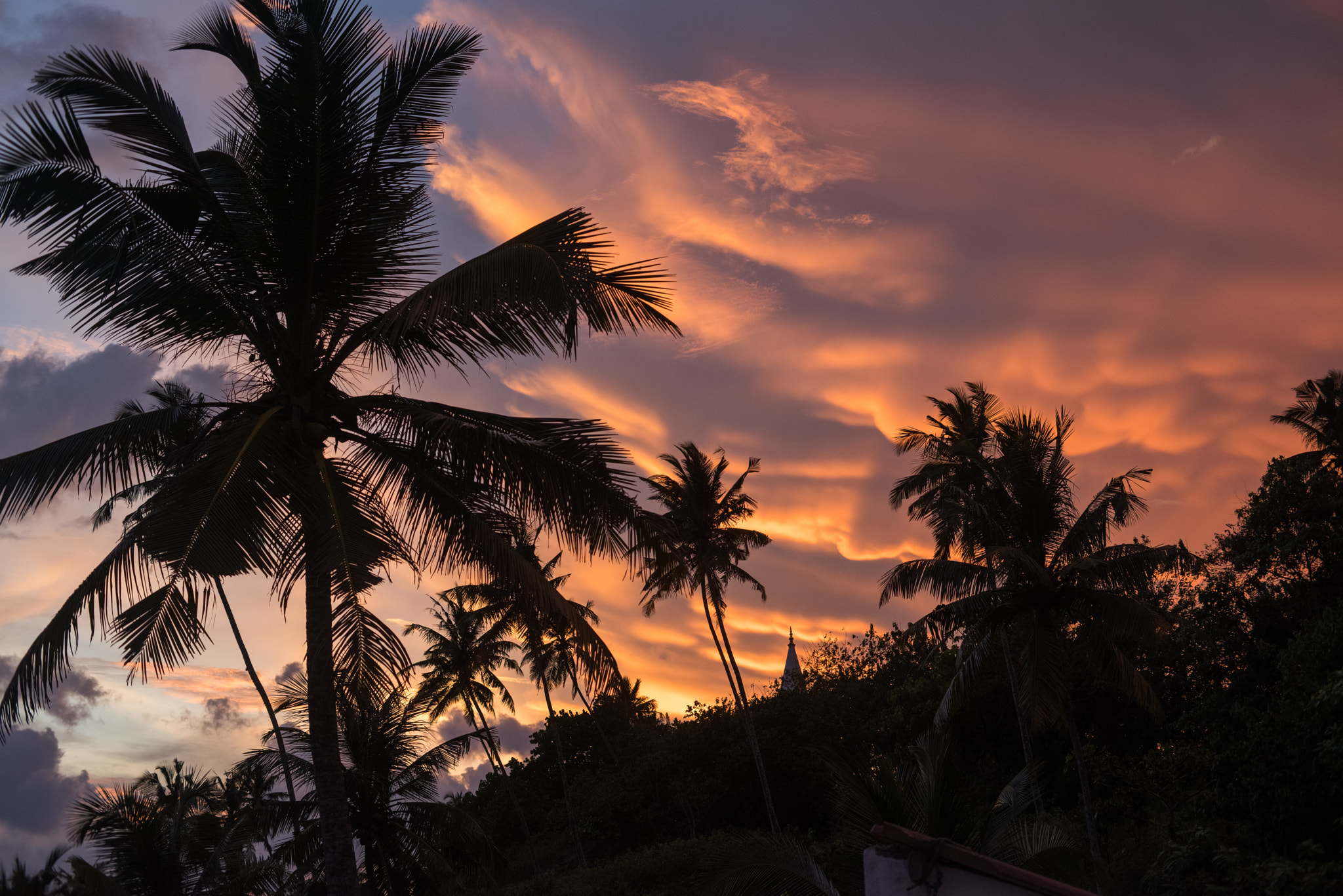 Pentax K-1 + Pentax smc DA 50mm F1.8 sample photo. Amazing tropical sunset photography