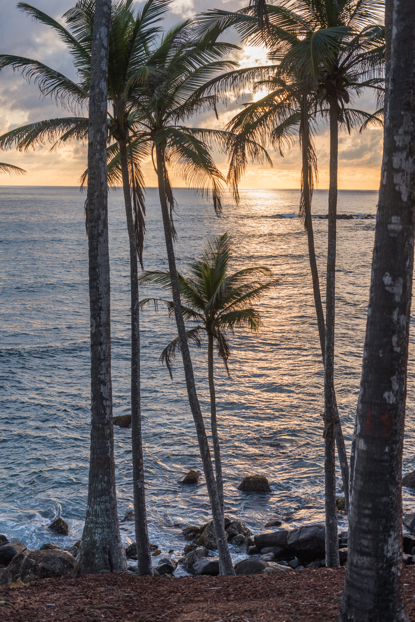 Pentax K-1 + Pentax smc DA 50mm F1.8 sample photo. Sunset over indian ocean photography