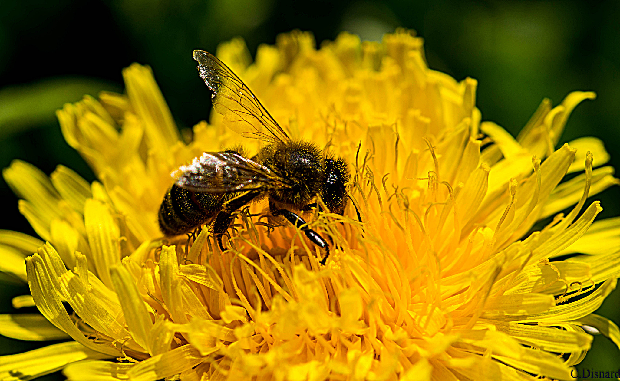 Sigma 105mm F2.8 EX DG OS HSM sample photo. Boutine photography