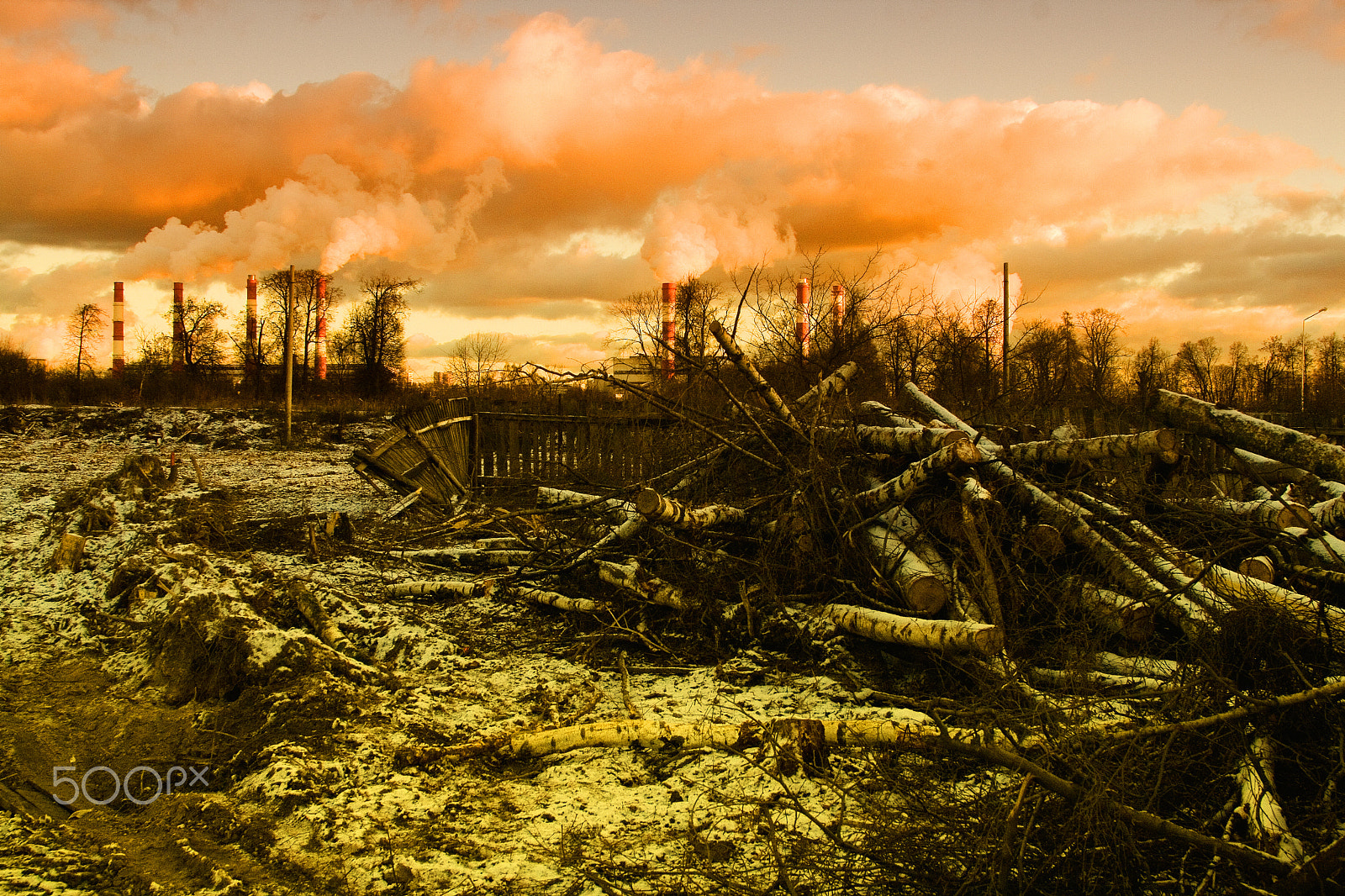 Canon EF 24-85mm F3.5-4.5 USM sample photo. The felled trees against the background of the smoking pipes of photography