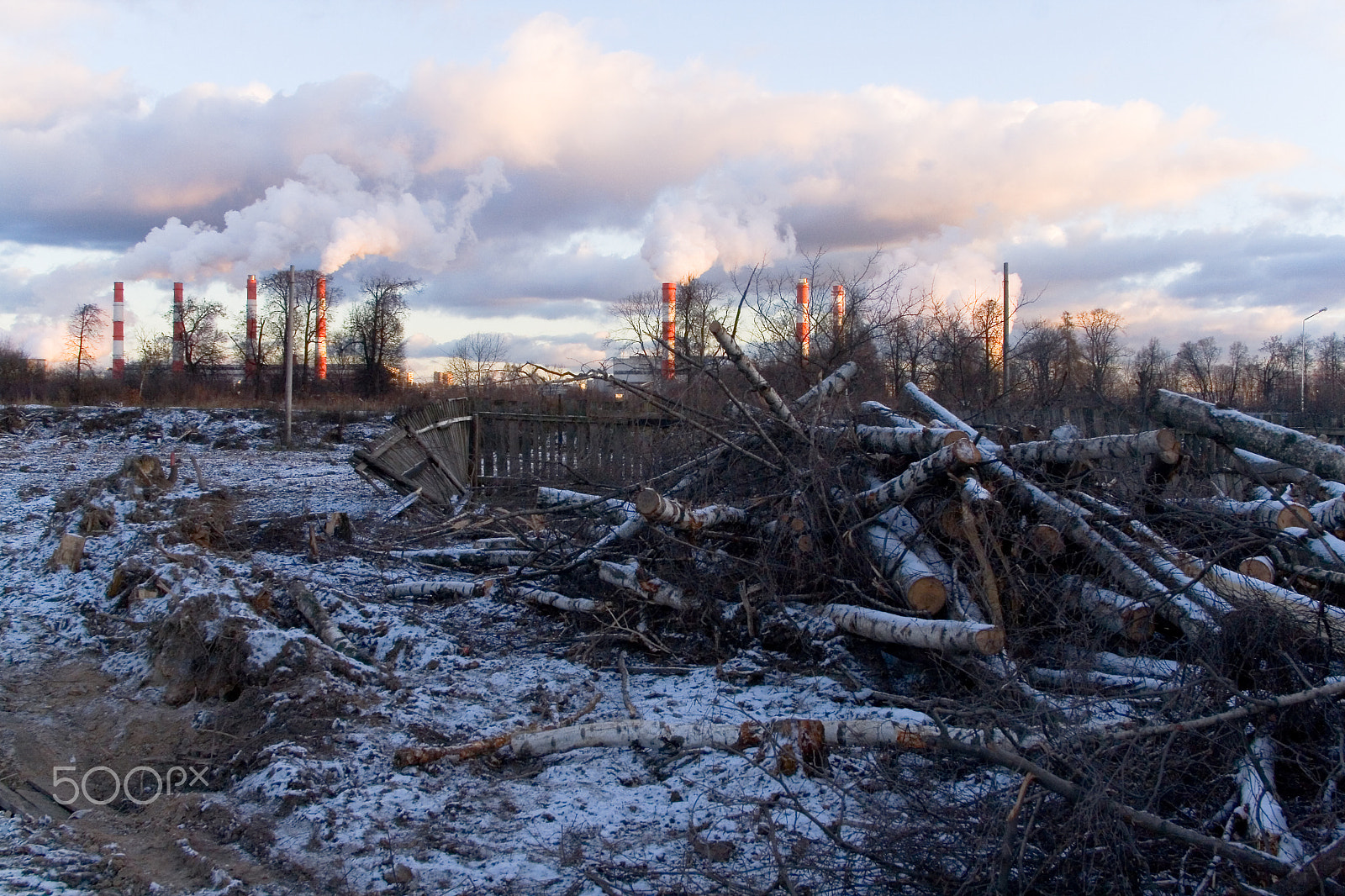 Canon EF 24-85mm F3.5-4.5 USM sample photo. The felled trees against the background of the smoking pipes of photography