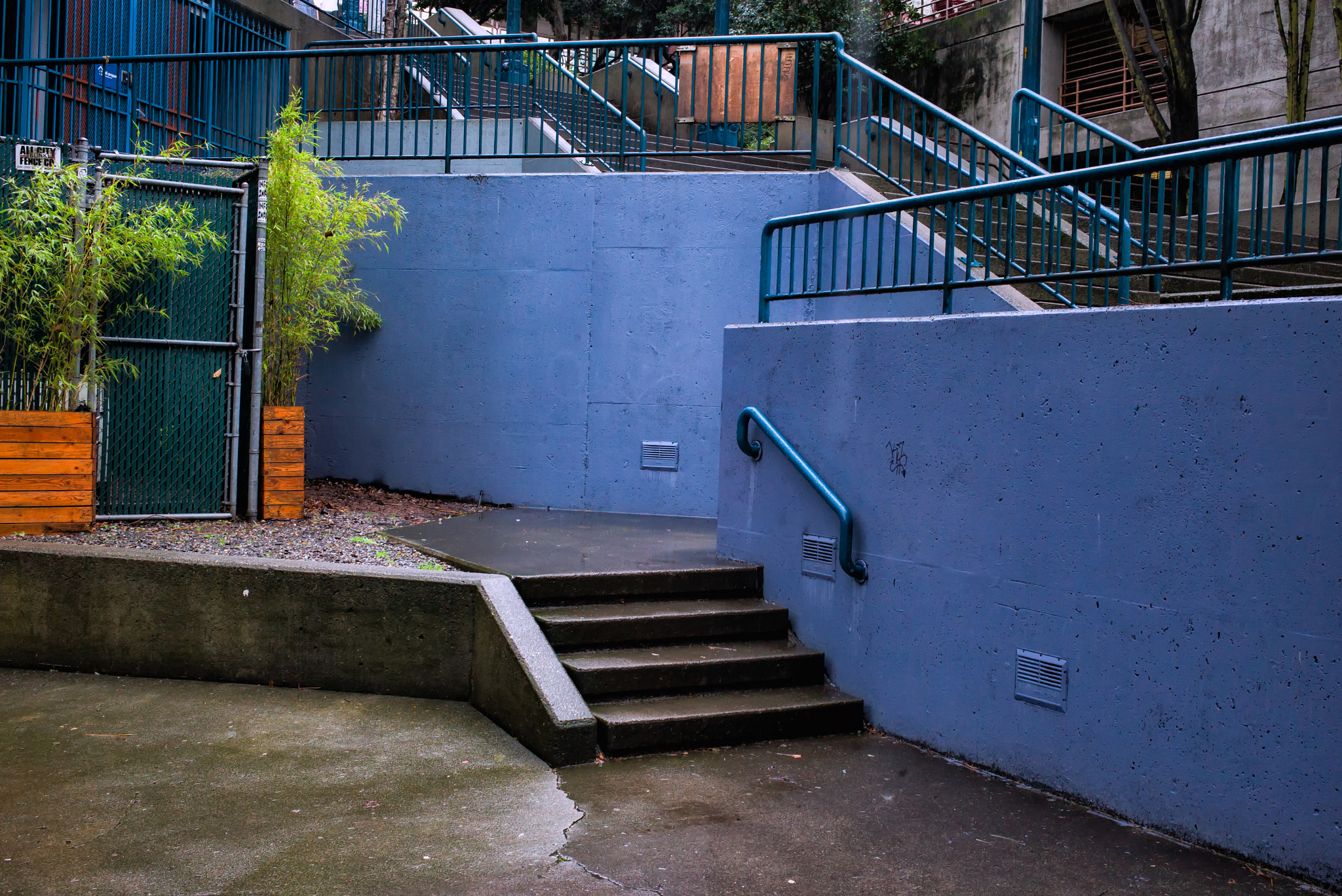 Leica Summilux-M 35mm F1.4 ASPH sample photo. Purple rain photography