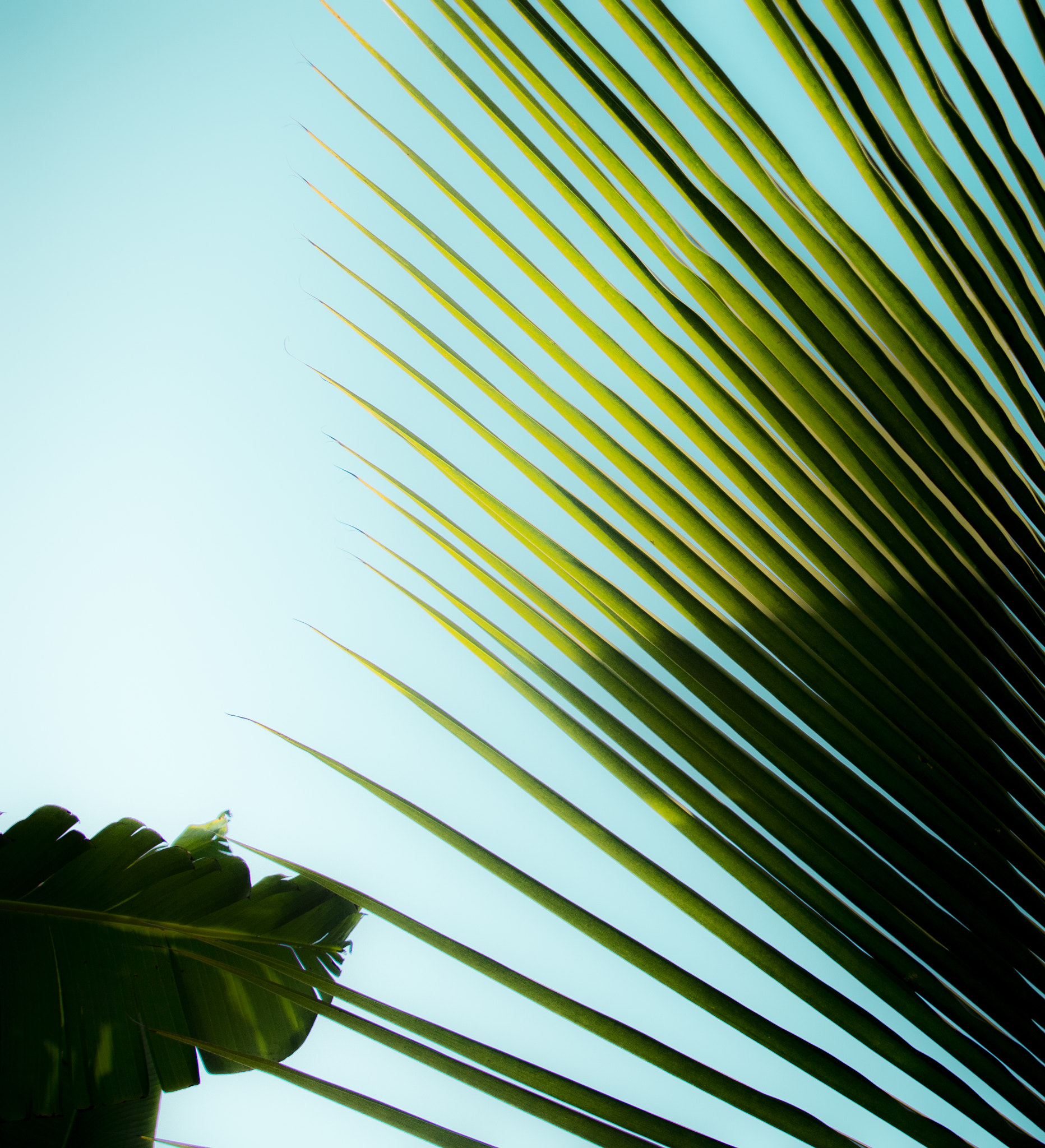 Nikon D3200 sample photo. Daydreaming photography