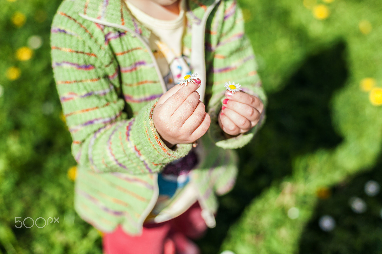 Canon EOS 5D Mark II sample photo. Two flowers in child's hands photography